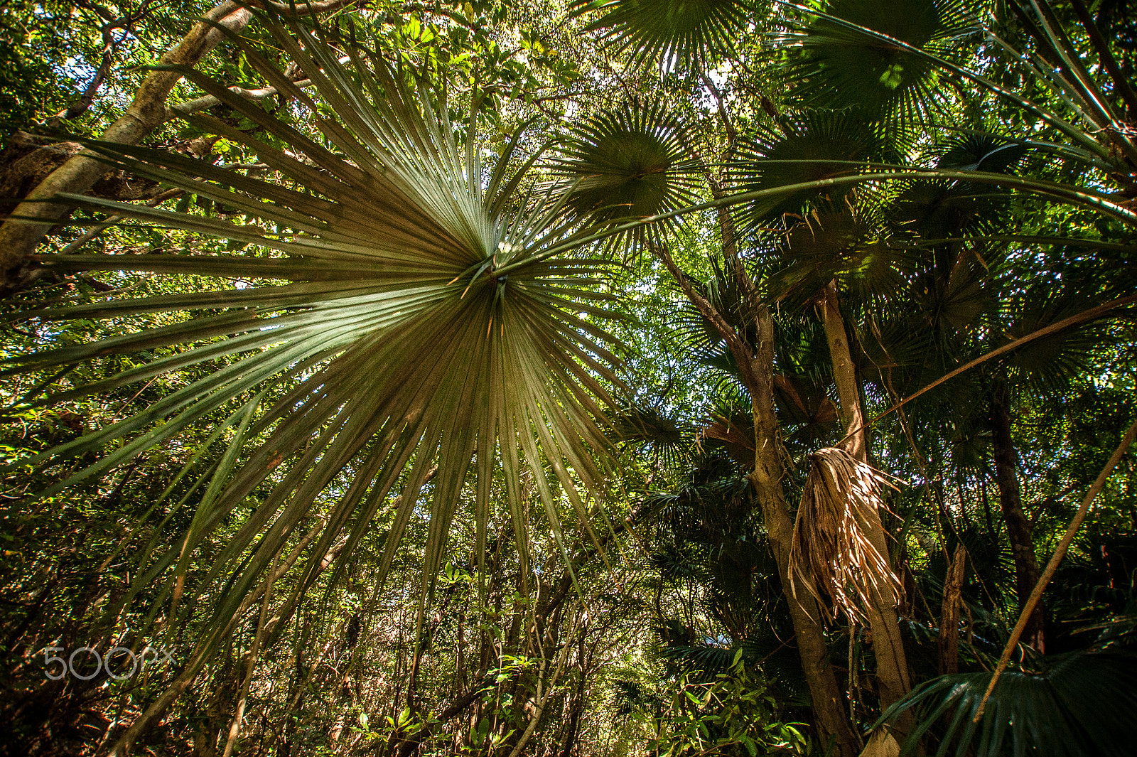 Sony DT 11-18mm F4.5-5.6 sample photo. Japan2013jd photography