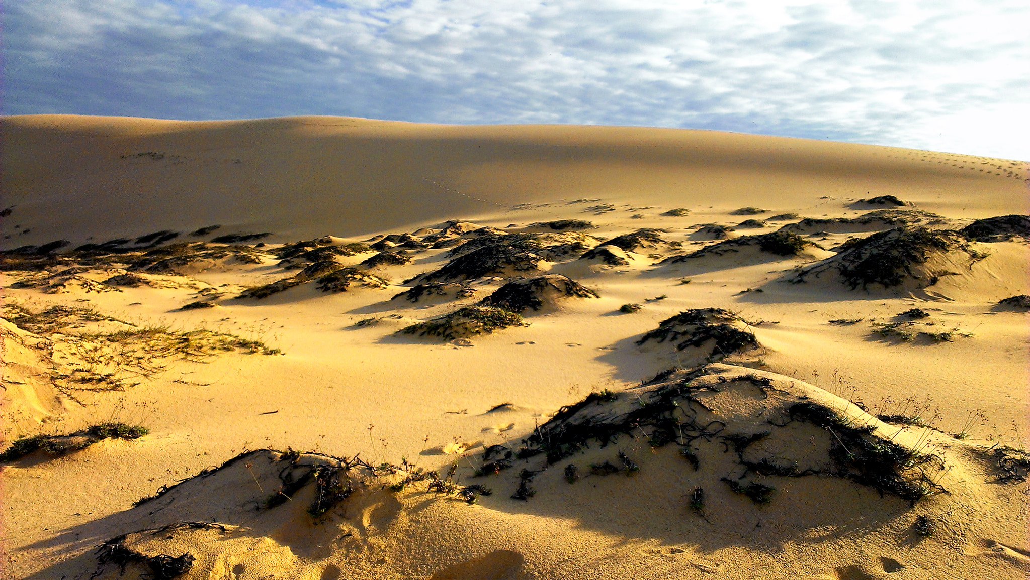 HTC ONE X sample photo. Sandhill photography