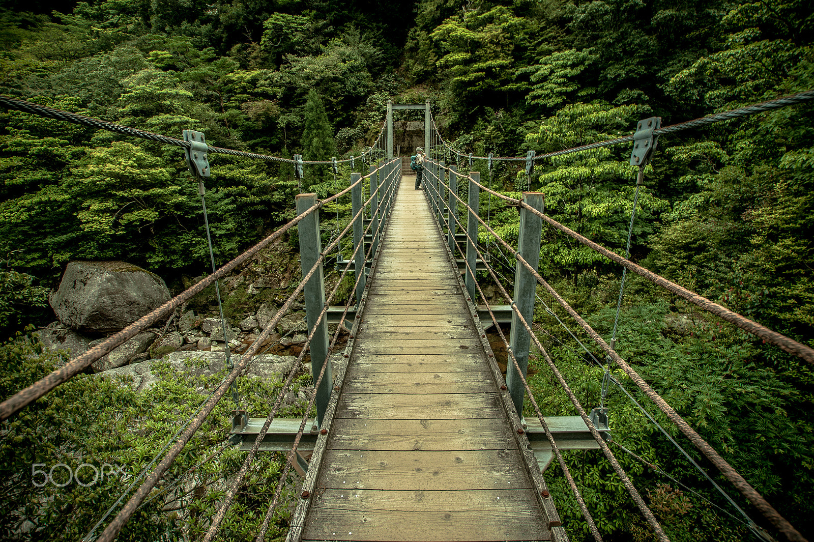 Sony DT 11-18mm F4.5-5.6 sample photo. Japan2013jd photography