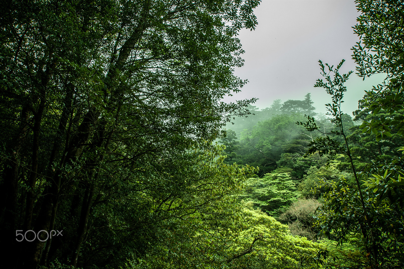 Sony Alpha DSLR-A350 sample photo. Japan2013jd photography