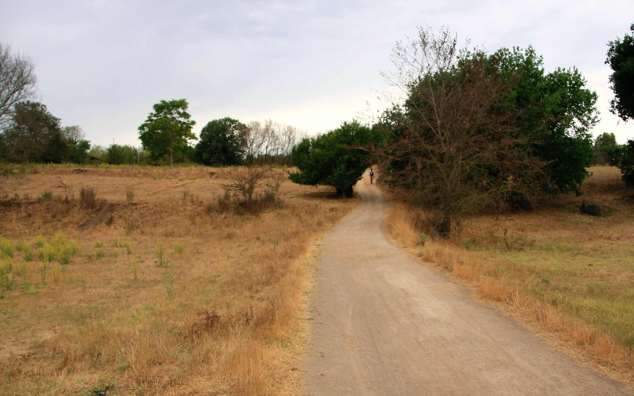 Canon EOS 40D sample photo. Caffarella photography