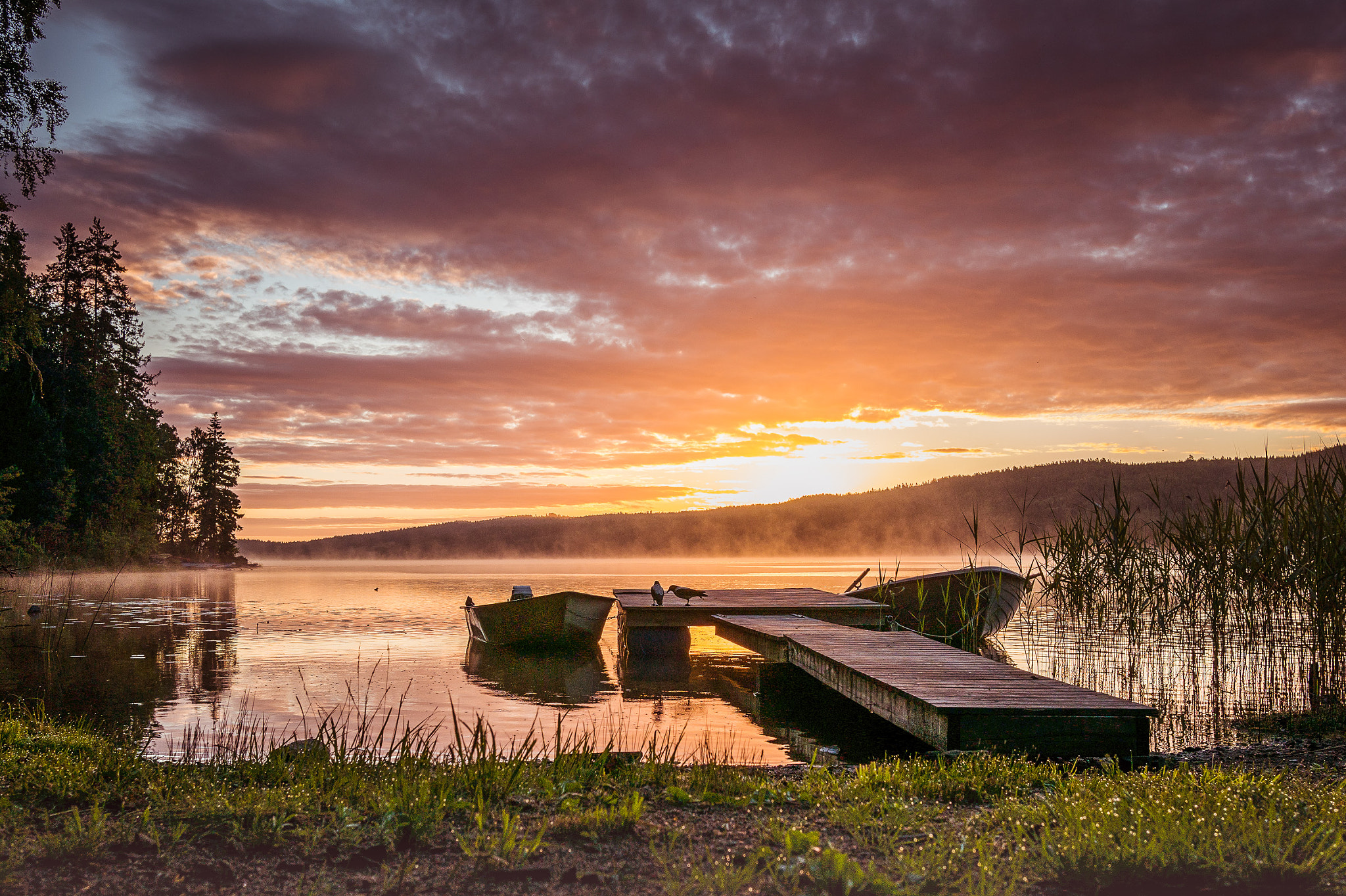 Panasonic Lumix DMC-GX85 (Lumix DMC-GX80 / Lumix DMC-GX7 Mark II) + LUMIX G 20/F1.7 II sample photo. Early morning in sweden photography