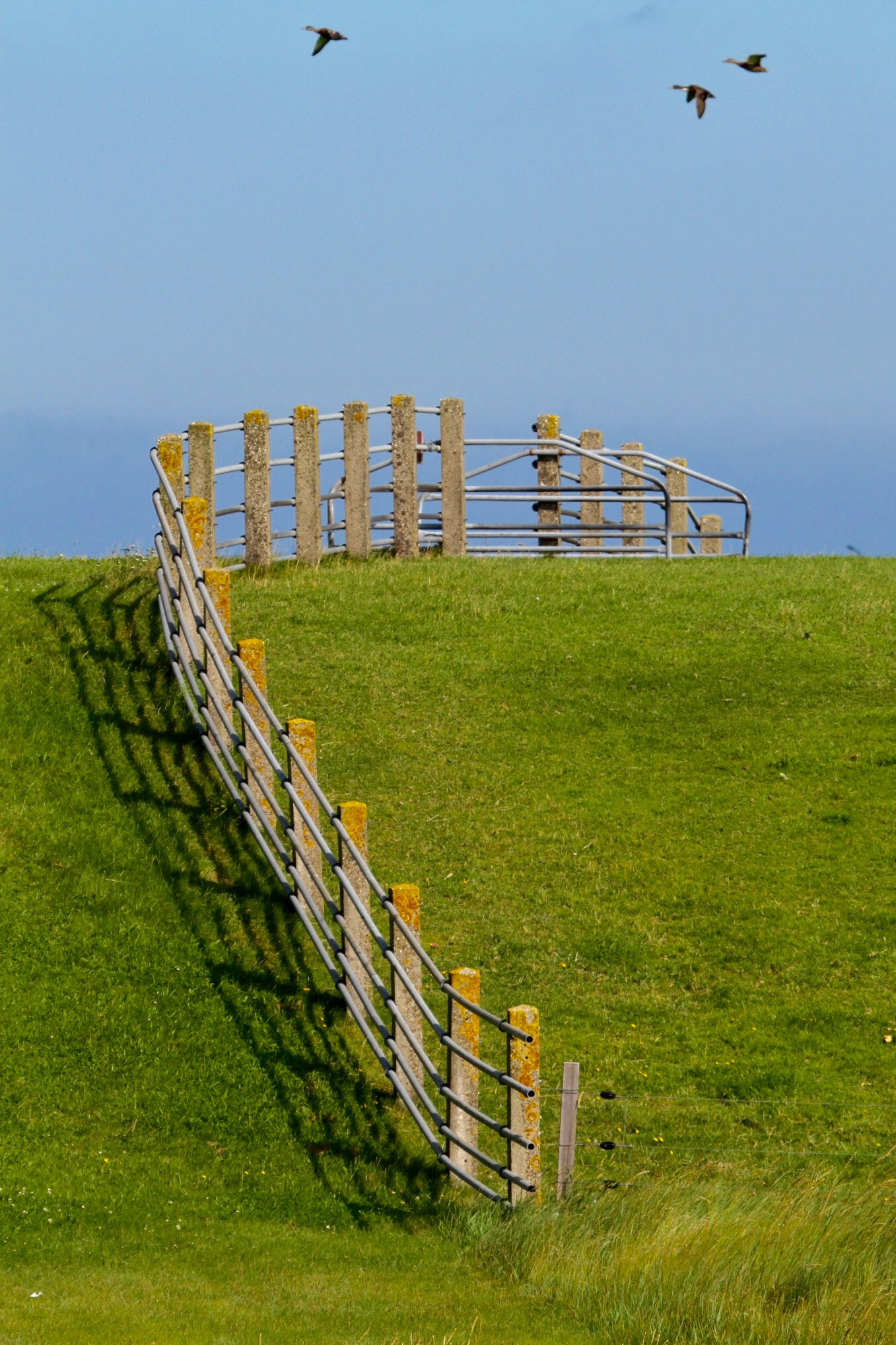 Canon EF 100-400mm F4.5-5.6L IS USM sample photo. Fence photography