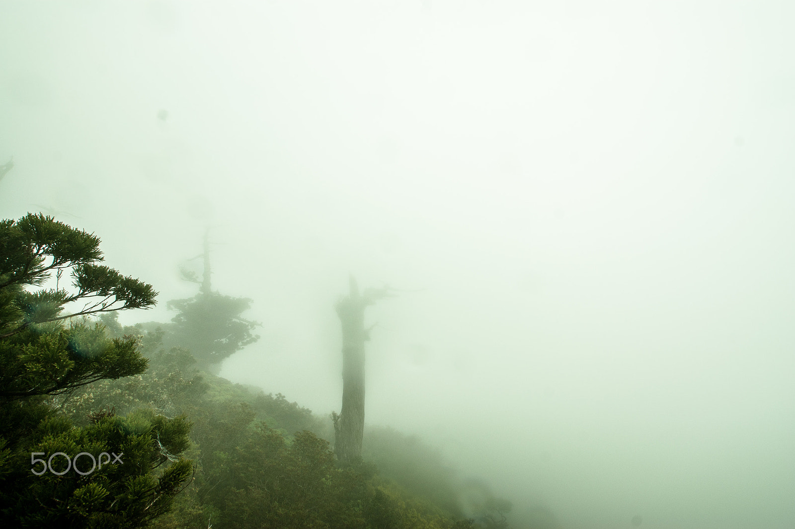 Sony Alpha DSLR-A350 sample photo. Japan2013jd photography