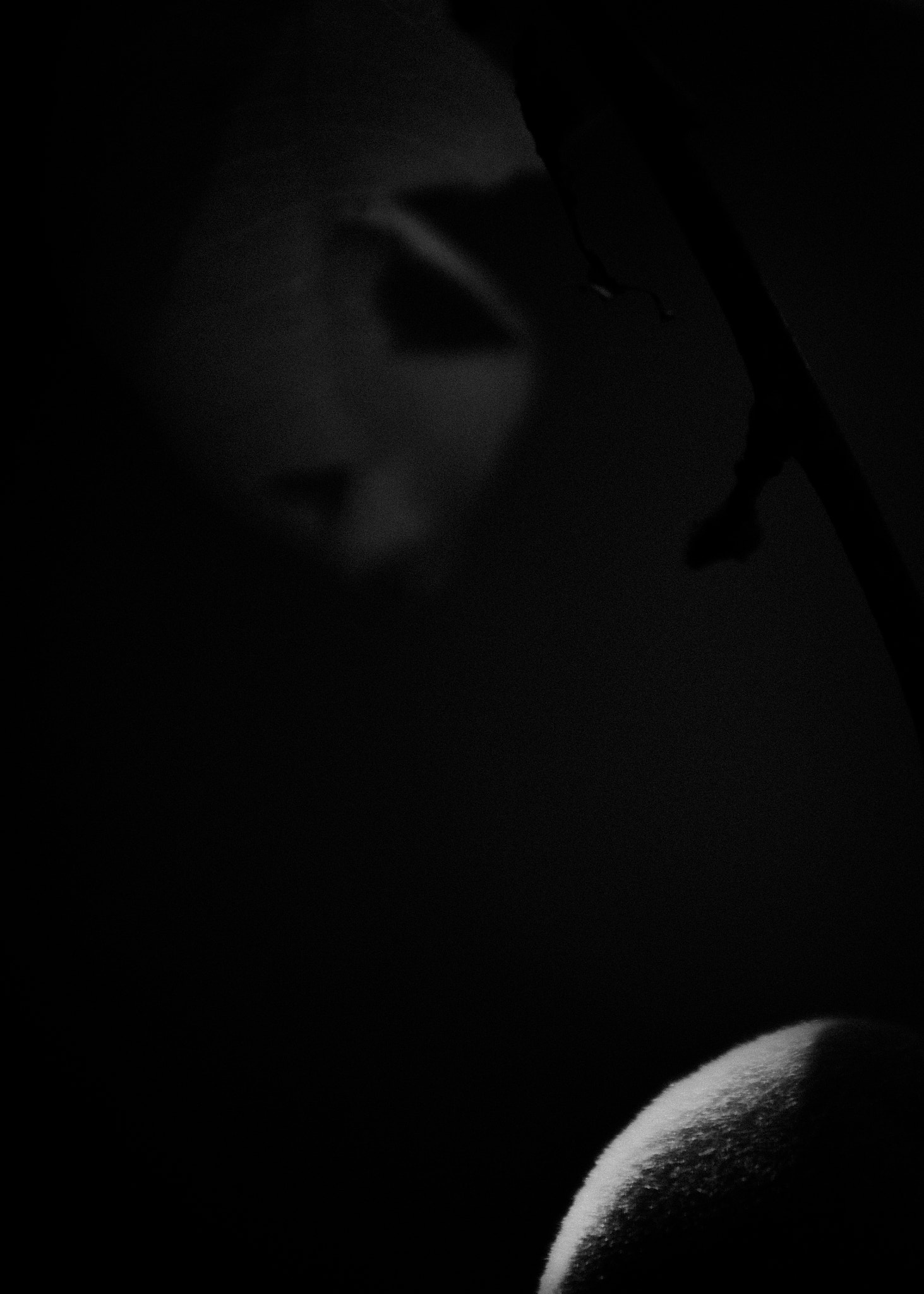 Canon EF 75-300mm f/4-5.6 USM sample photo. Flora minimal photography