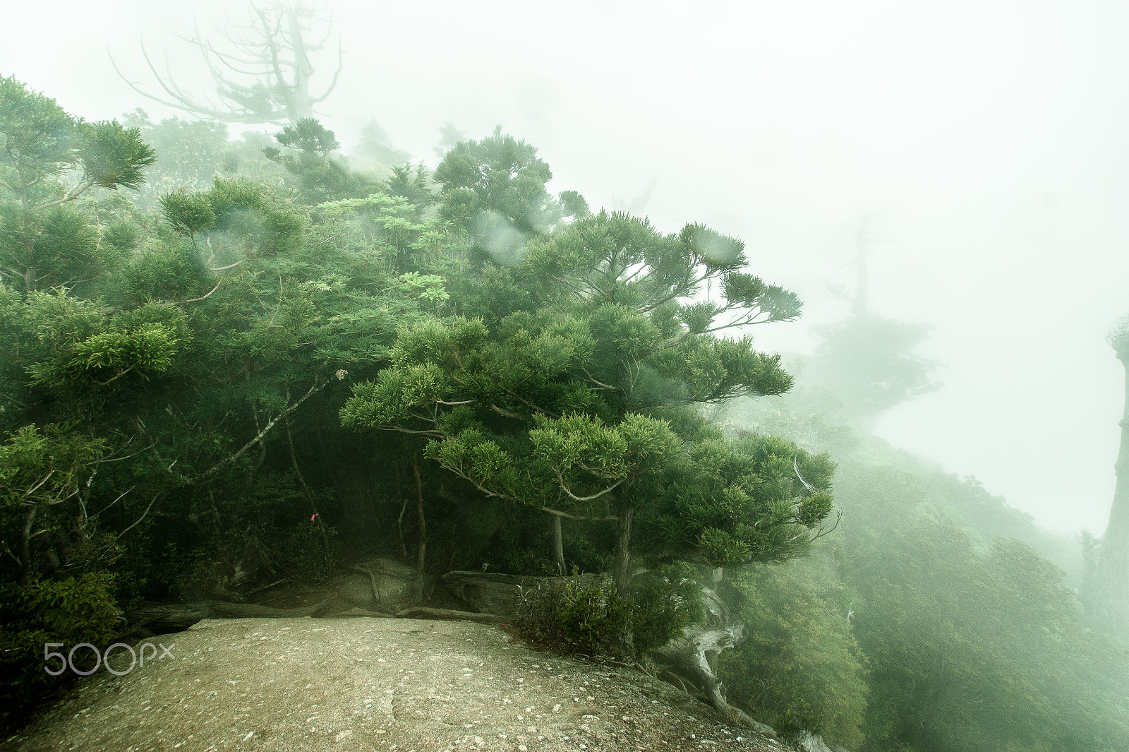 Sony DT 11-18mm F4.5-5.6 sample photo. Japan2013jd photography
