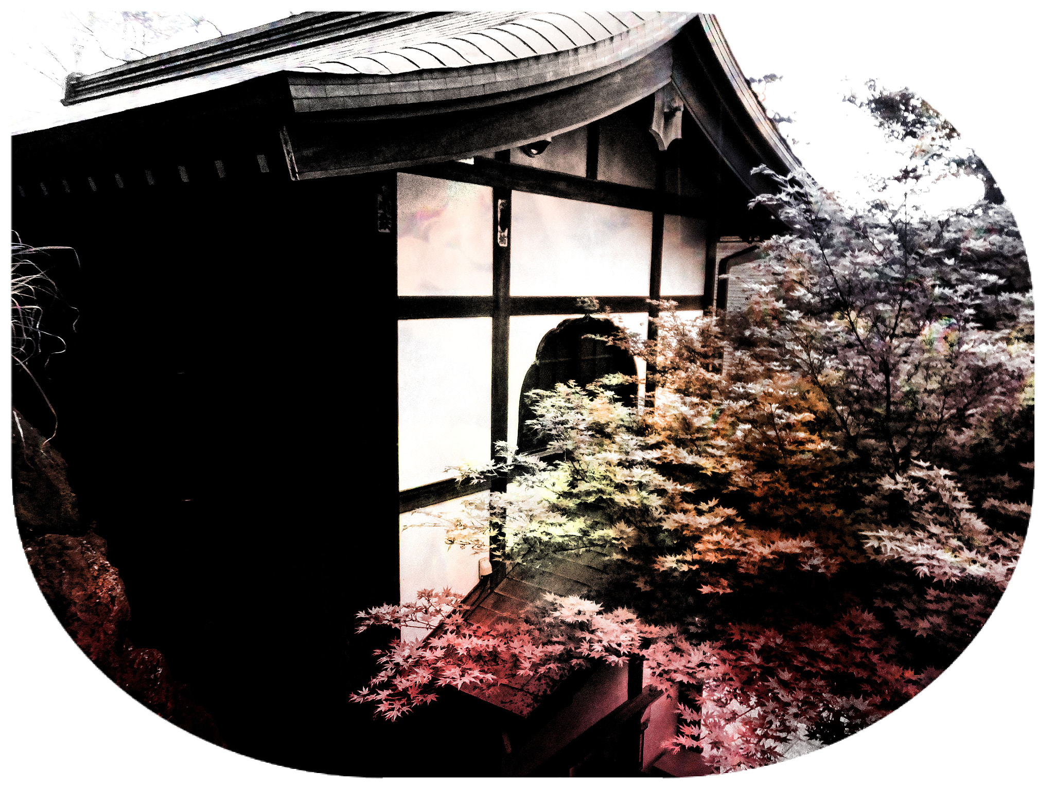 Fujifilm FinePix F900EXR sample photo. A days trekking to mt. takao photography