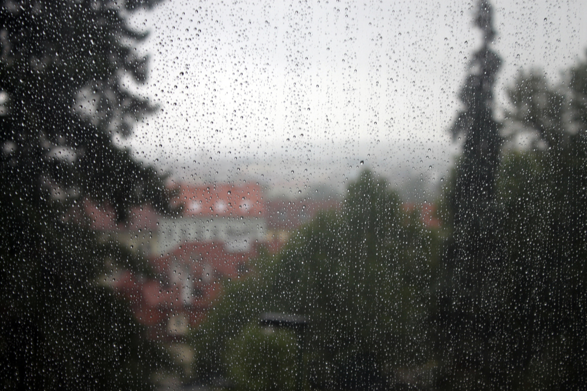 Canon EOS 500D (EOS Rebel T1i / EOS Kiss X3) sample photo. Rainy drive photography