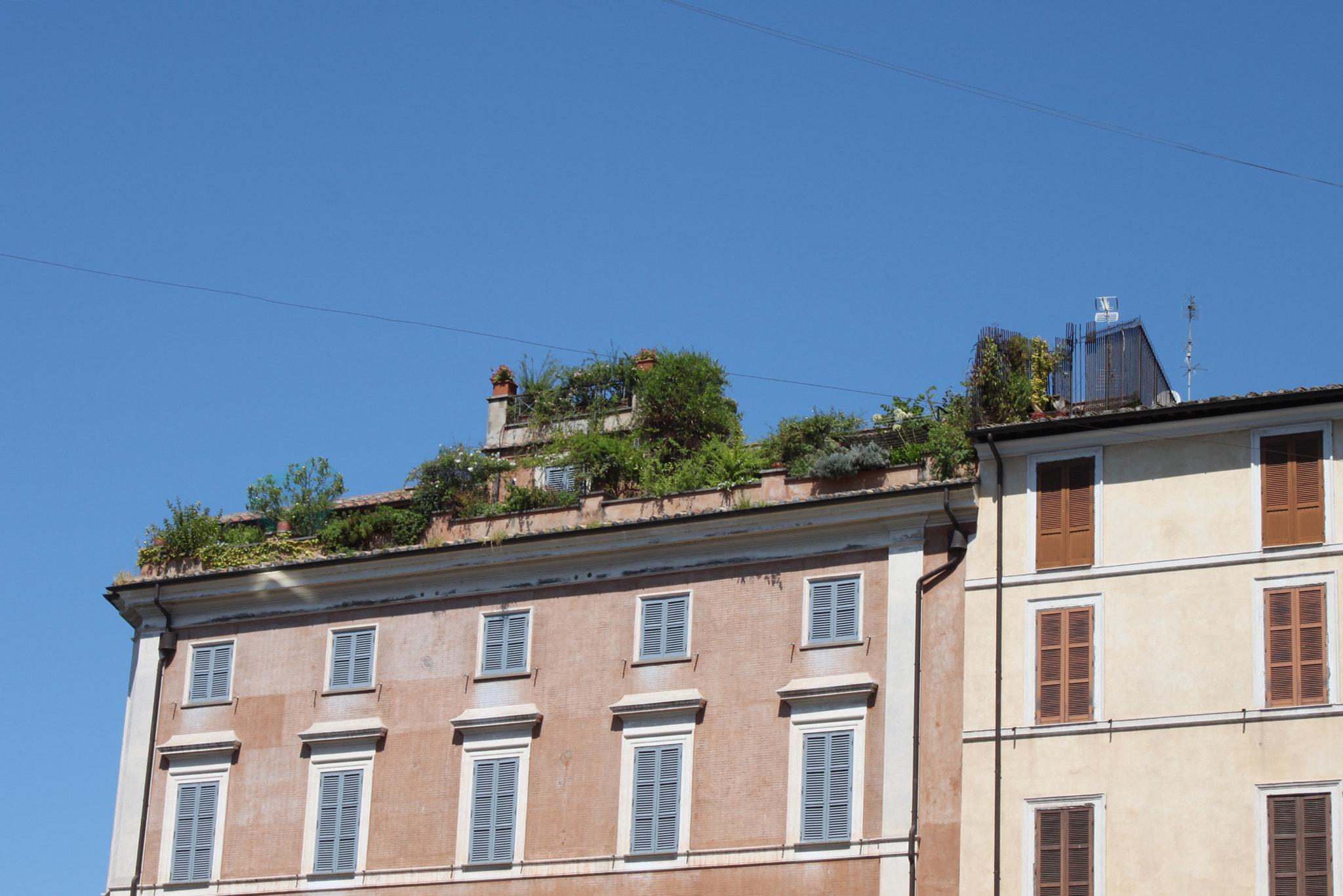 Canon EOS 500D (EOS Rebel T1i / EOS Kiss X3) sample photo. Rome photography
