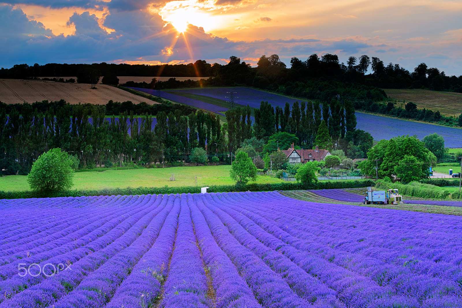 Sony a7R II + Canon EF 70-200mm F4L IS USM sample photo. The harvest photography