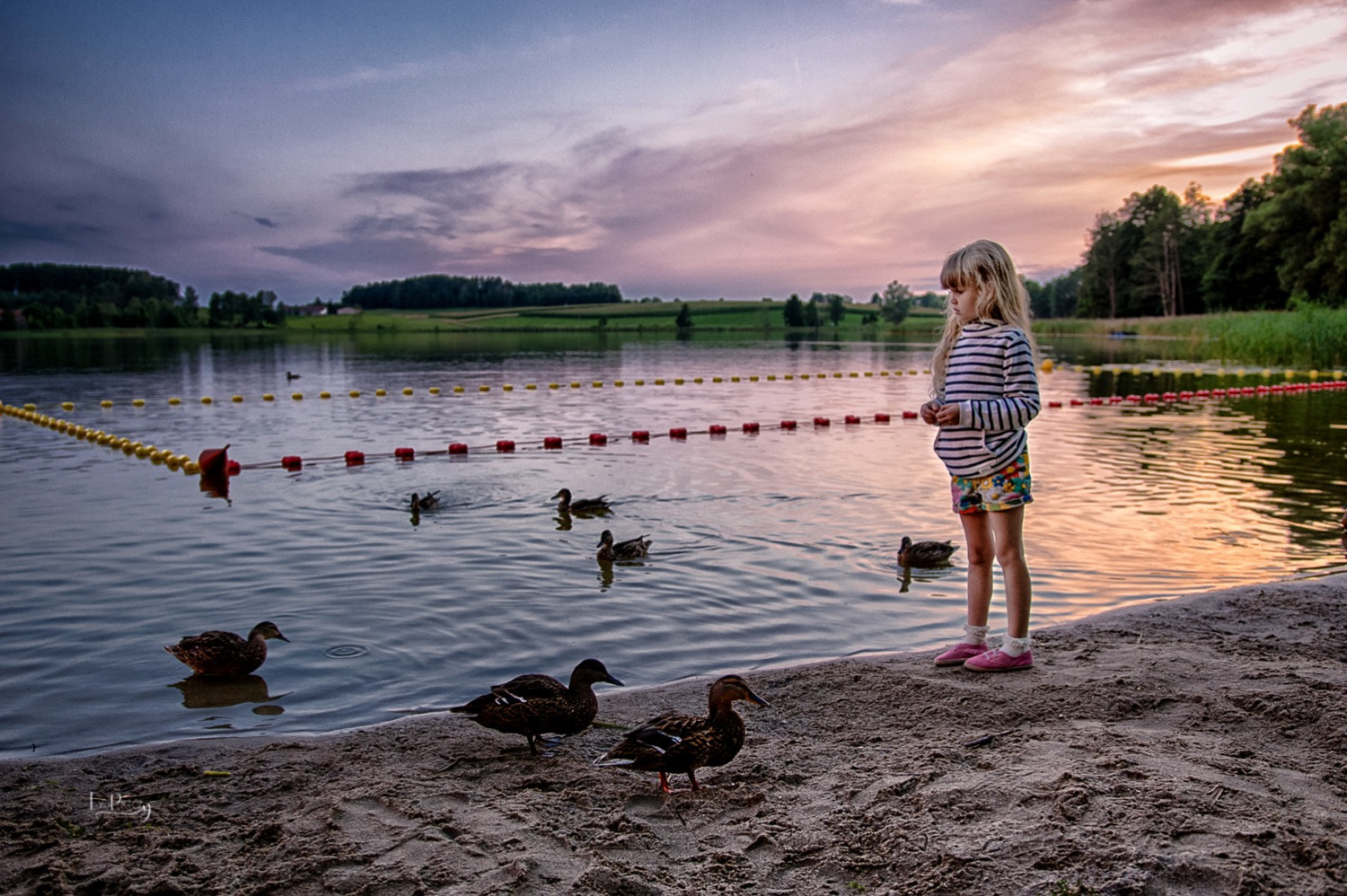 Sigma 18-35mm f/1.8 DC HSM sample photo. Lakeside photography