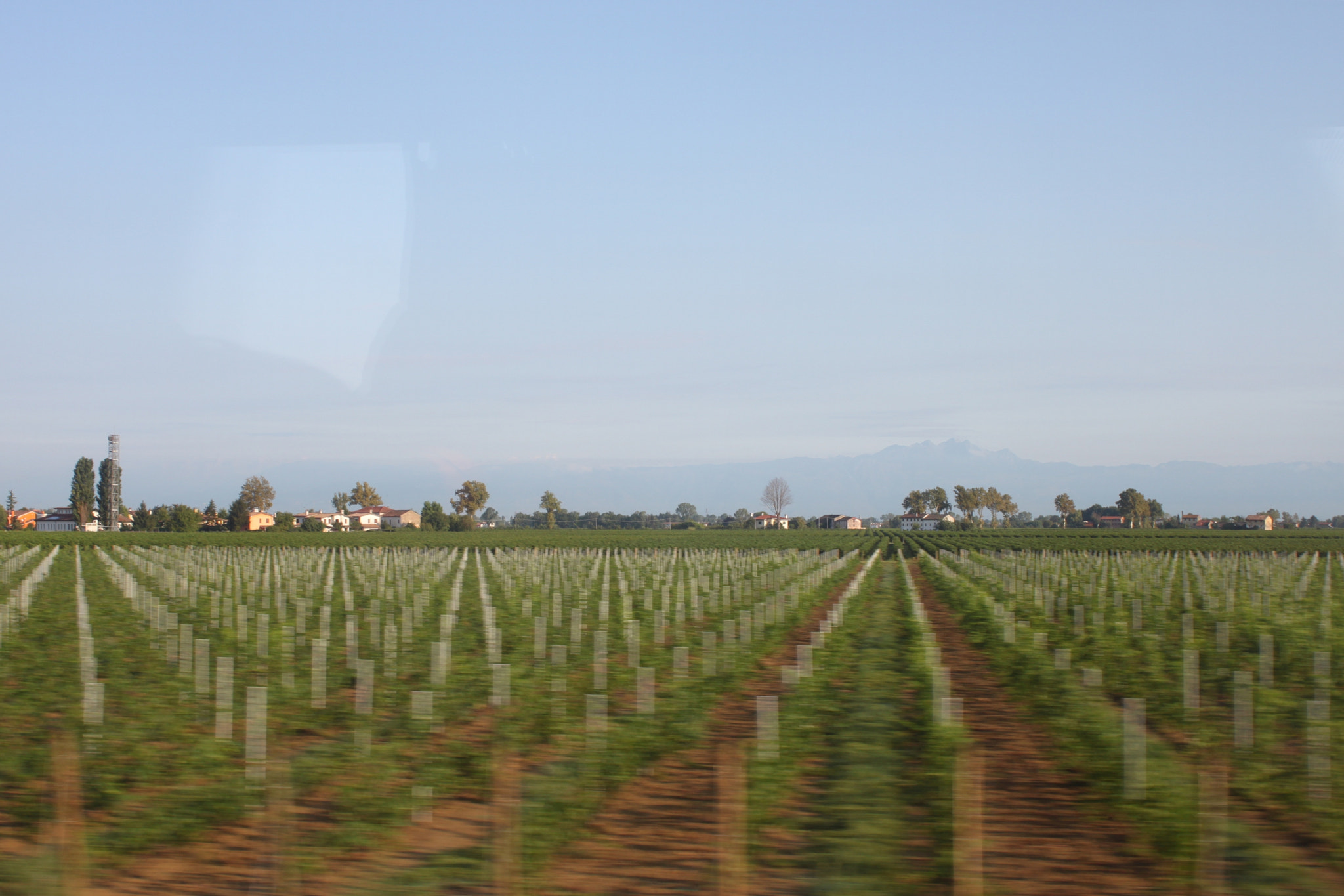 Canon EOS 500D (EOS Rebel T1i / EOS Kiss X3) sample photo. Italian countryside photography