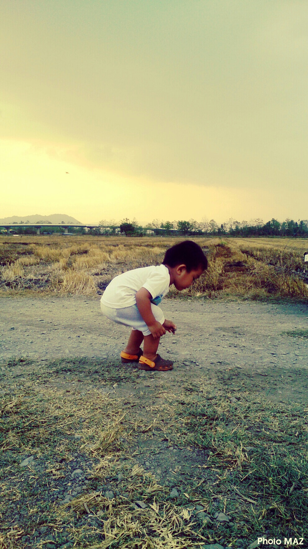 Sony Xperia ZR sample photo. Getting something photography