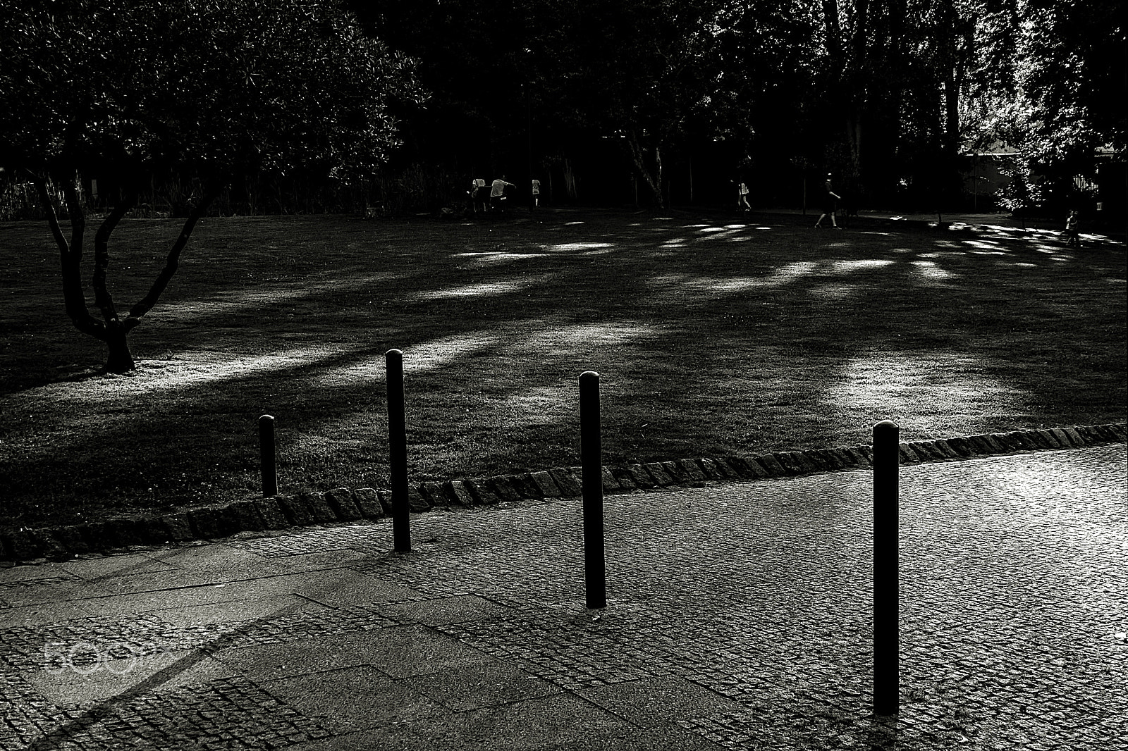 Canon EOS 500D (EOS Rebel T1i / EOS Kiss X3) sample photo. Sunset in the park. photography