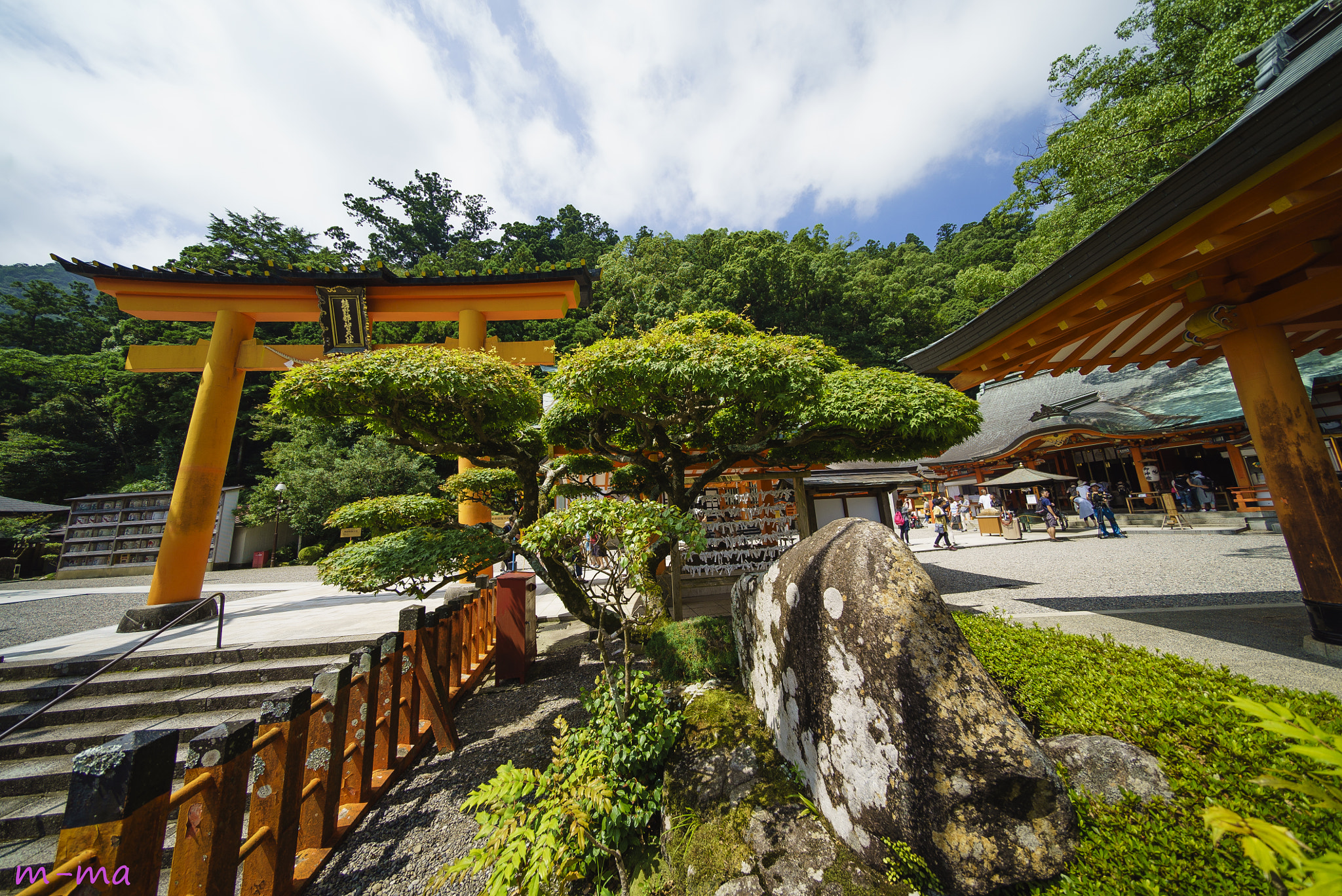 E 10mm F5.6 sample photo. Nachi taisha photography
