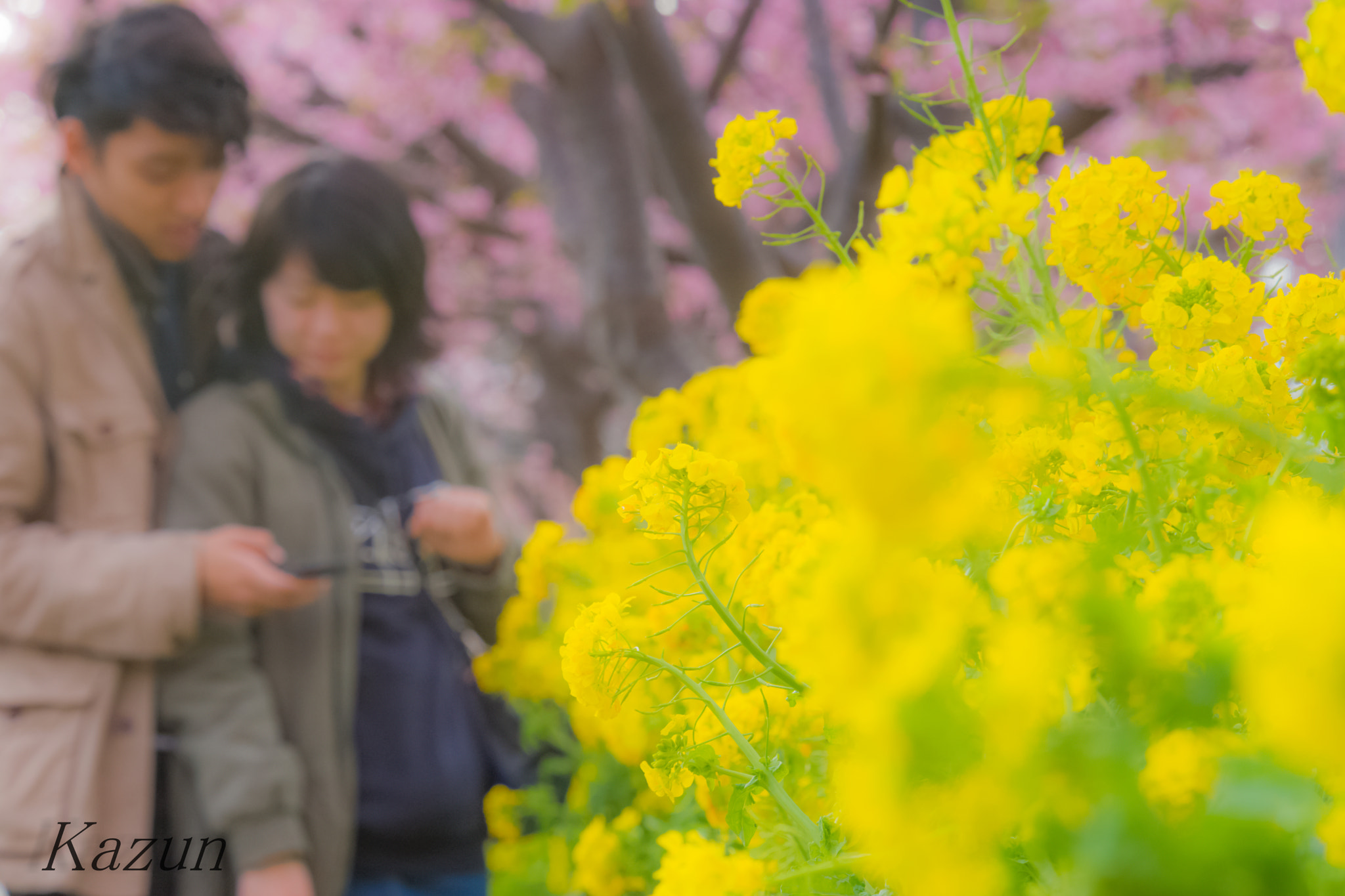 Sony a99 II sample photo. Love is dreamy photography