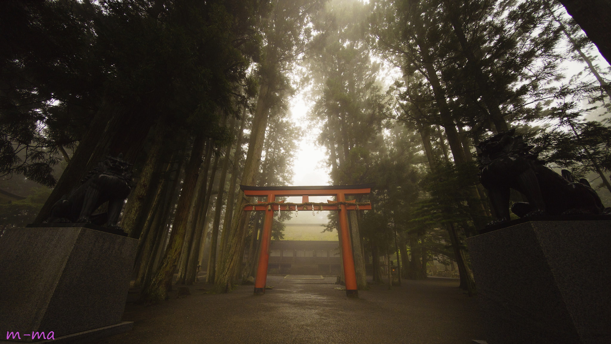 E 10mm F5.6 sample photo. The torii of koyasan photography