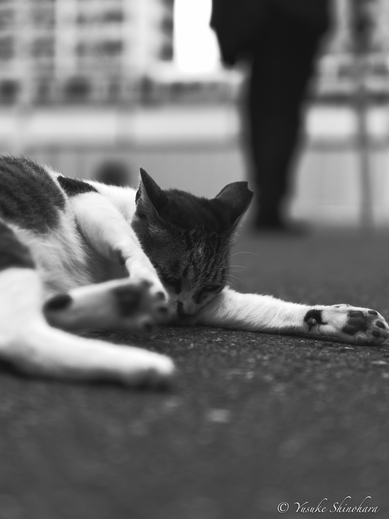 Sigma 30mm F1.4 DC DN | C sample photo. Left behind photography