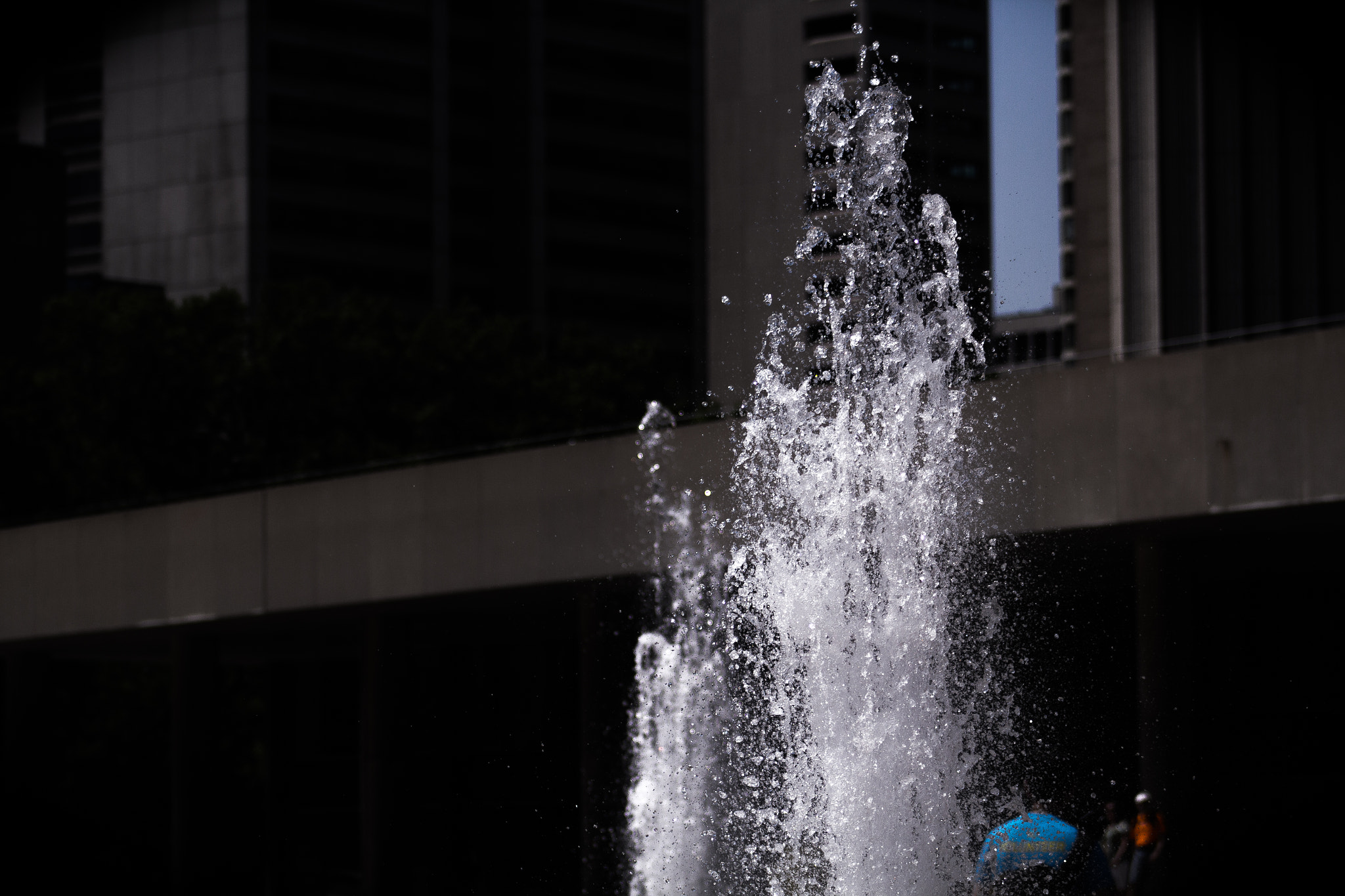 Canon EF 75-300mm f/4-5.6 USM sample photo. Are you going up or are you falling down? photography