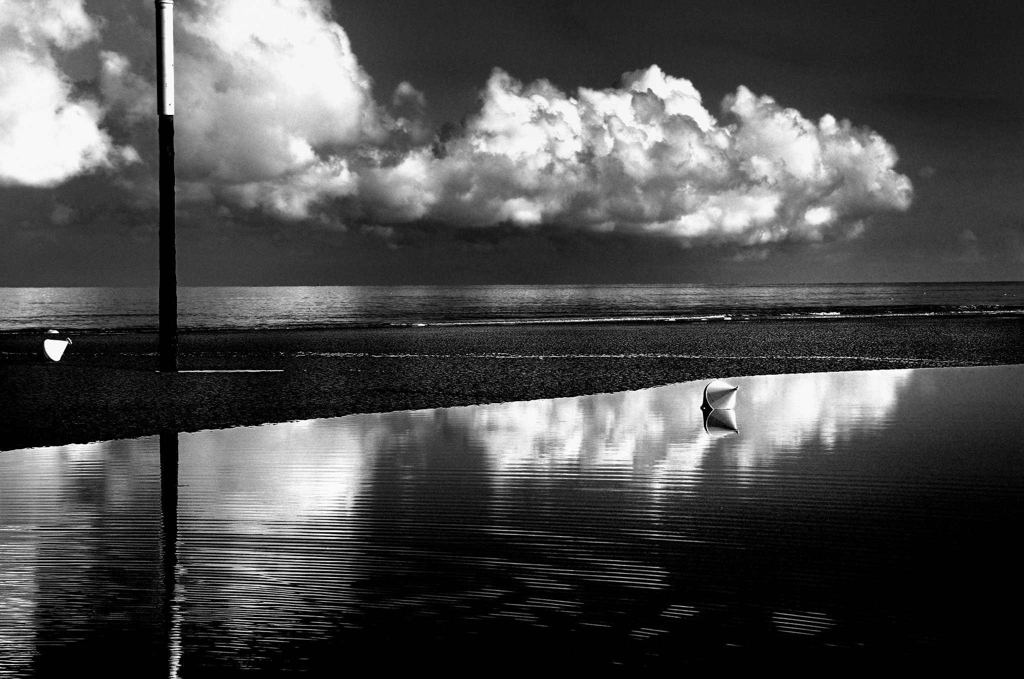 Nikon D300 sample photo. Reflection  b&w photography