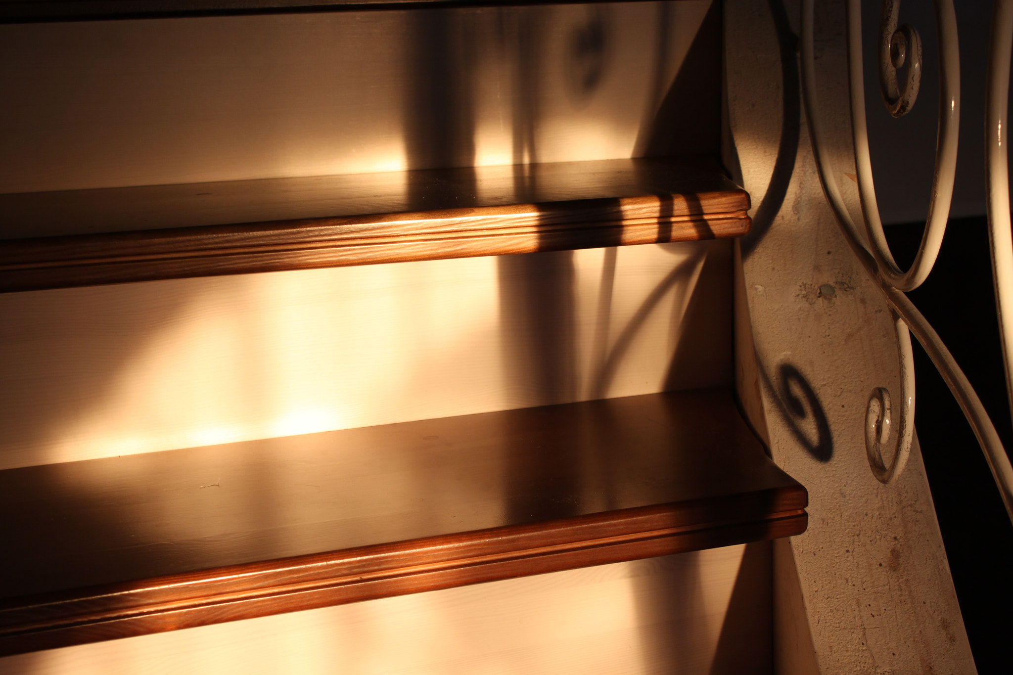Canon EOS 500D (EOS Rebel T1i / EOS Kiss X3) sample photo. Cozy winter photography