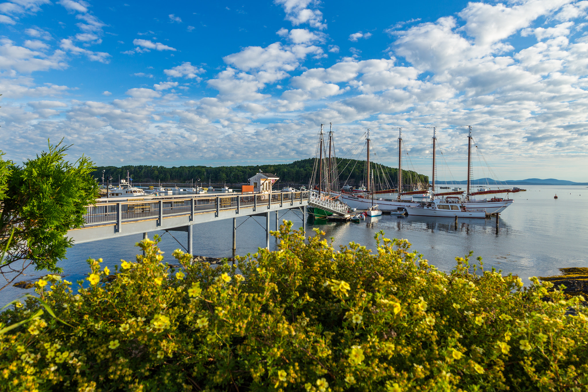 ME-MT. DESERT ISLAND-BAR HARBOR