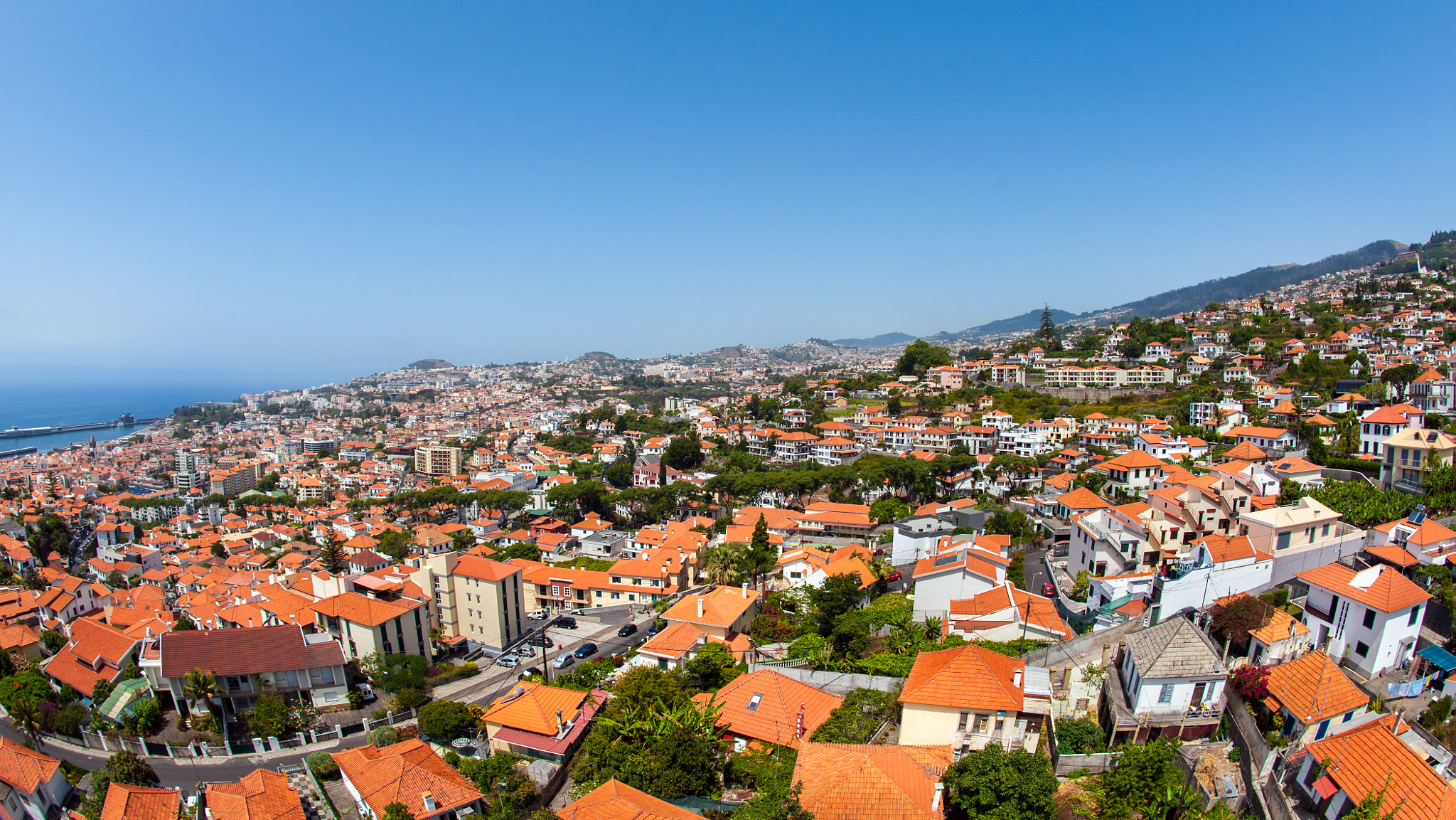 Nikon D700 + Nikon AF Fisheye-Nikkor 16mm F2.8D sample photo. Madeira: funchal photography