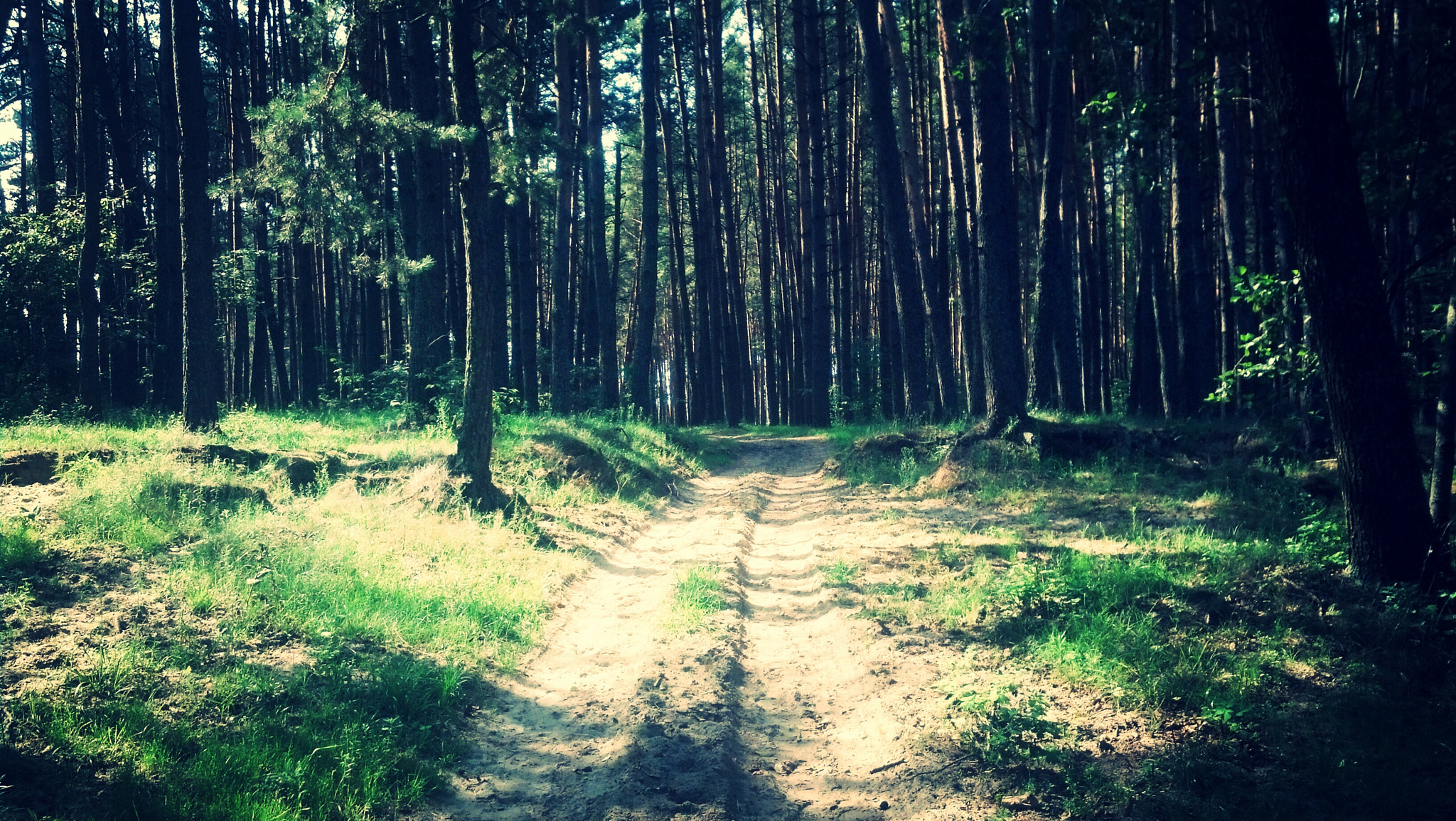 Motorola DROID RAZR sample photo. Nature photography