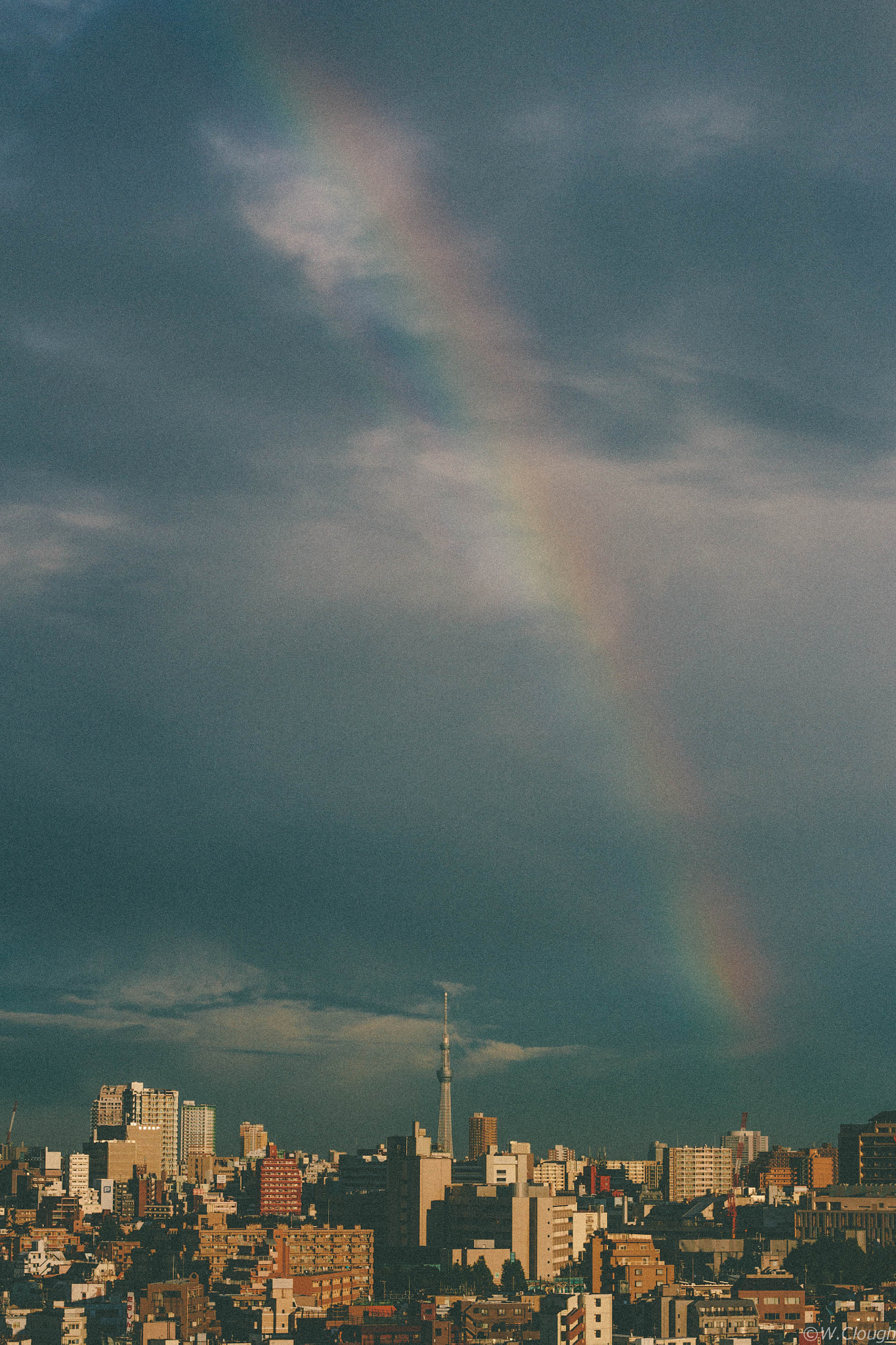 Canon EOS 7D + Canon EF 50mm f/1.8 sample photo. Rainbow skytree photography