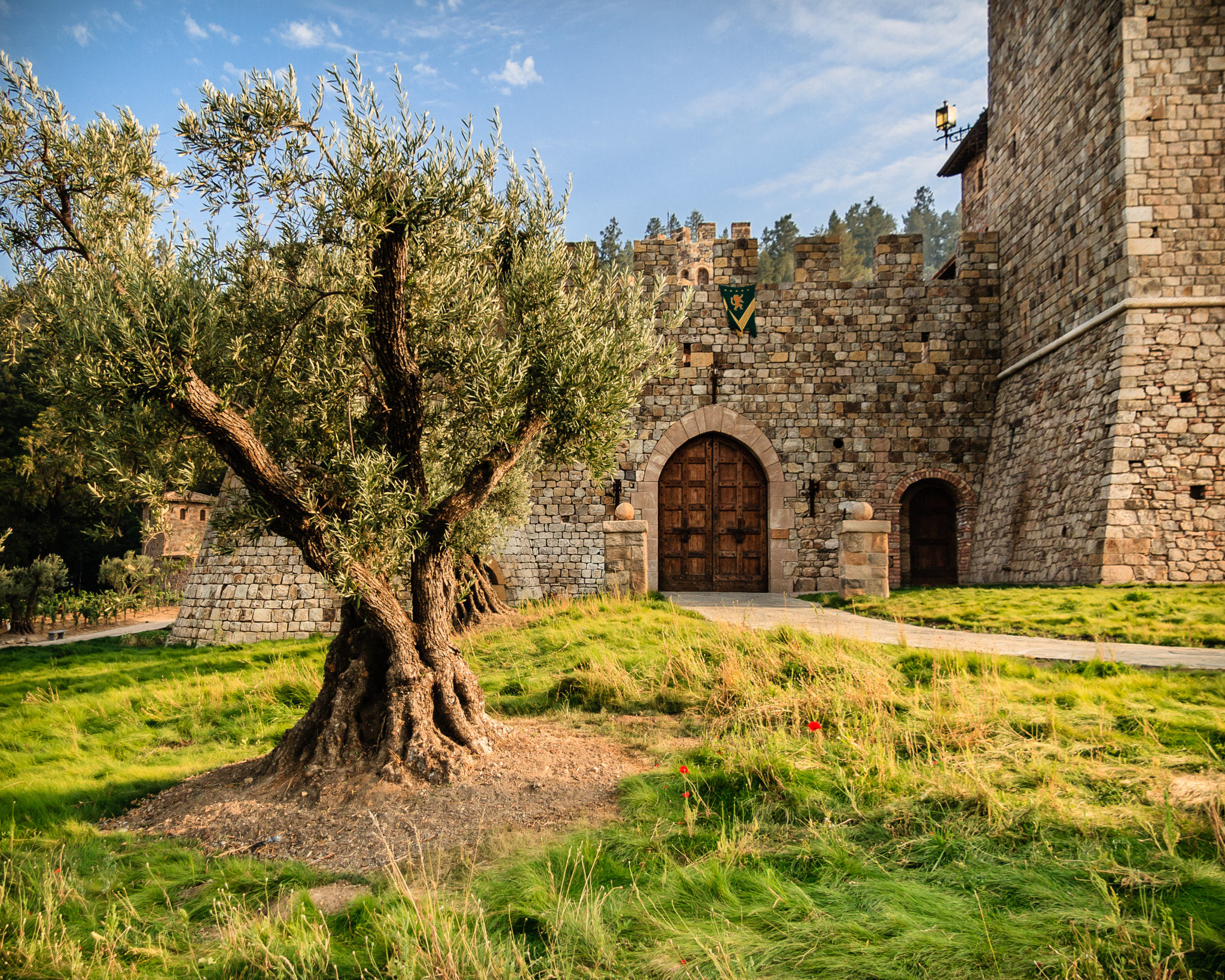Canon EOS 400D (EOS Digital Rebel XTi / EOS Kiss Digital X) sample photo. A castle at … napa valley photography