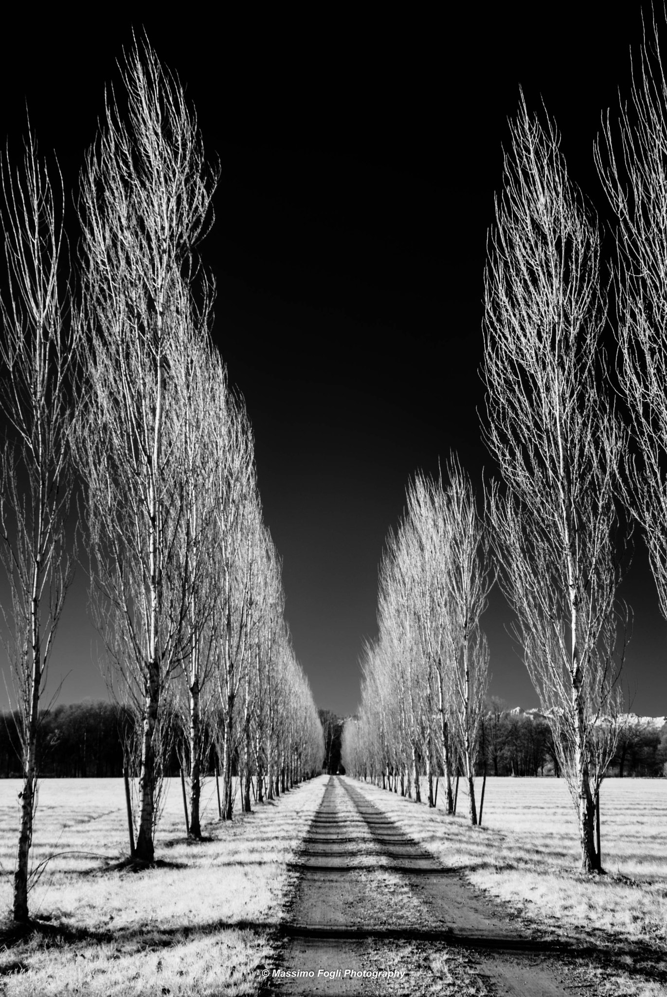 Nikon D80 sample photo. Giocando con l'infrarosso photography