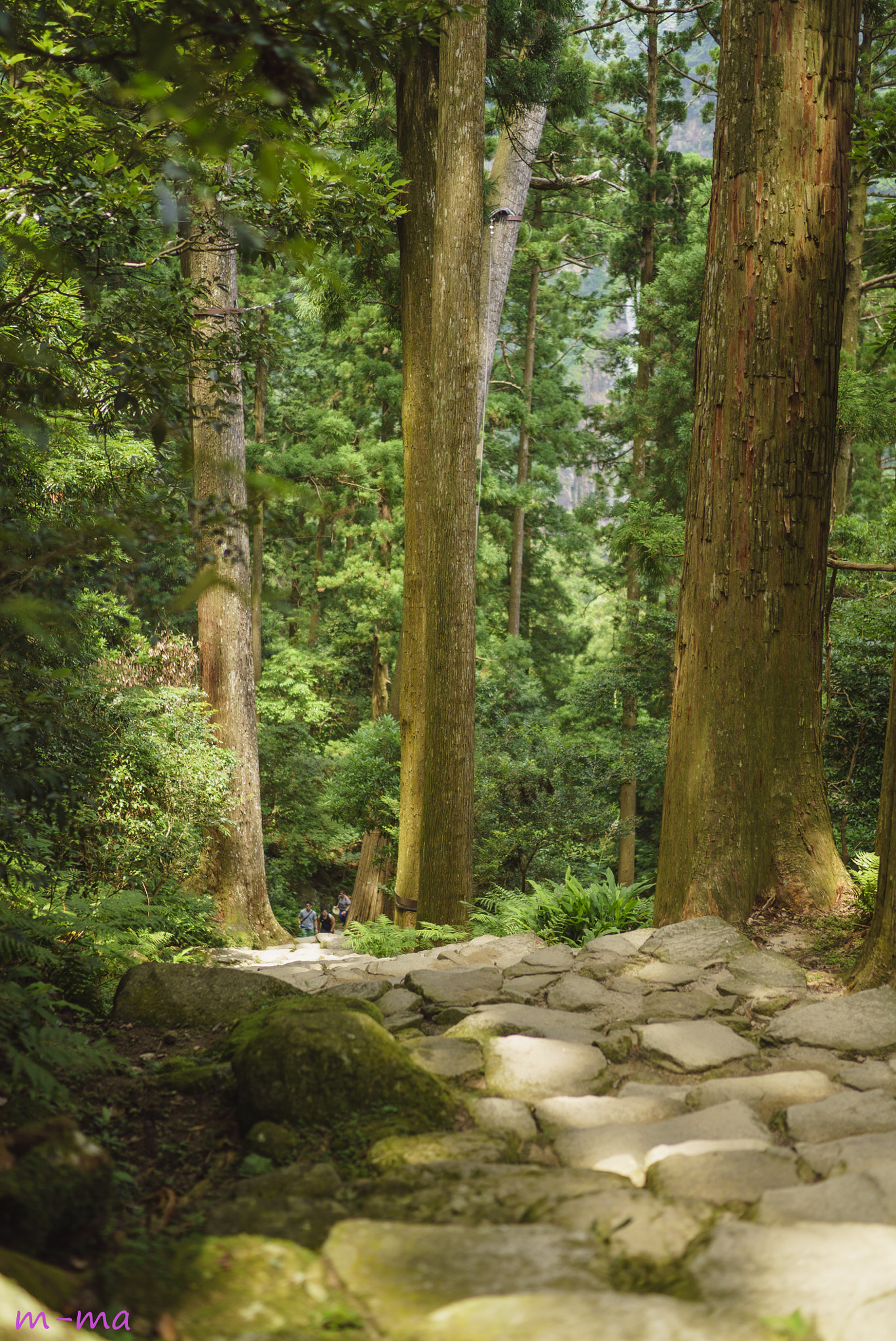 Sony a7S + Sony Distagon T* FE 35mm F1.4 ZA sample photo. Road of stone steps photography