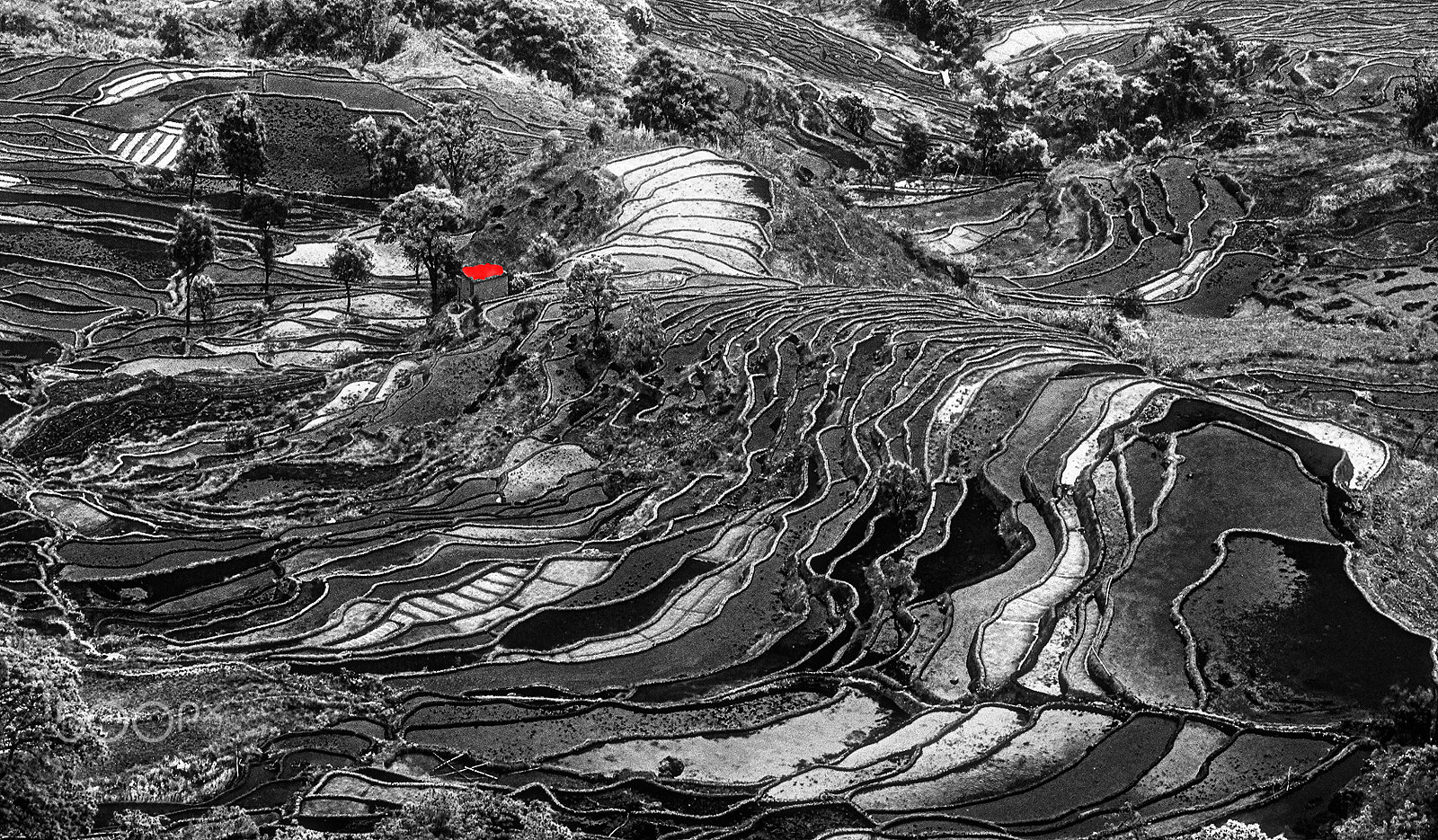 Canon EOS 5DS + Canon EF 70-200mm F4L IS USM sample photo. Beautiful terraced field photography