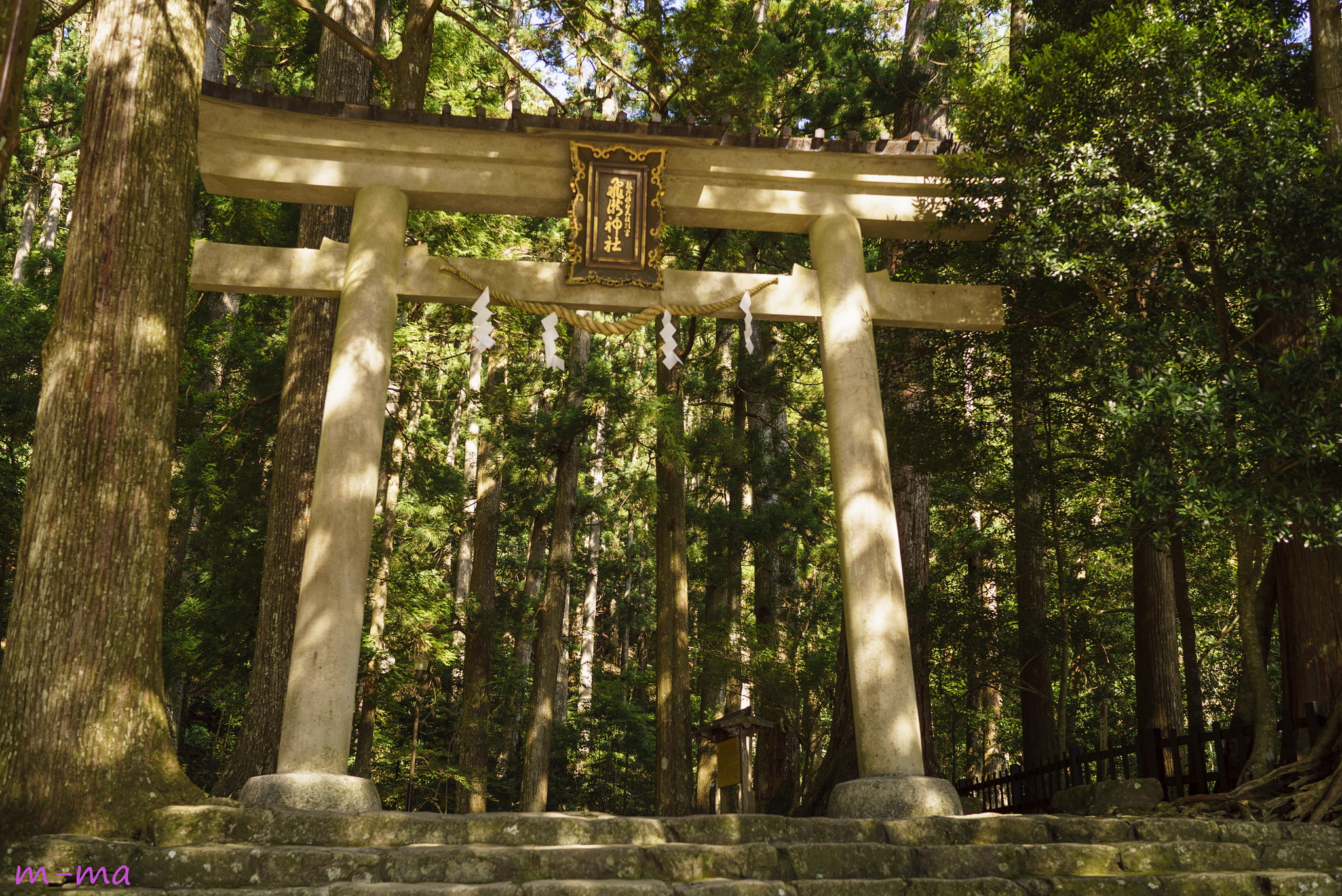Sony a7S + Sony Distagon T* FE 35mm F1.4 ZA sample photo. The entrance of the forest photography