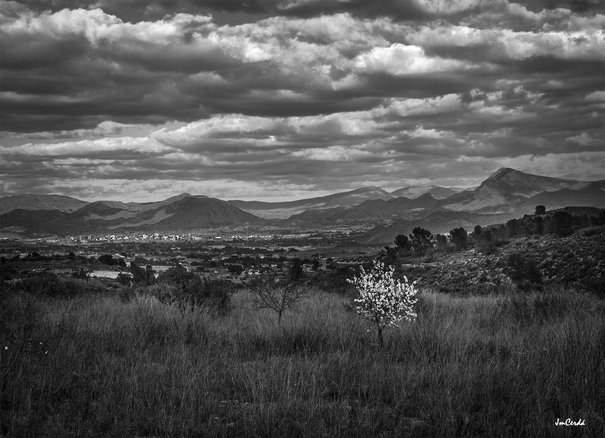 Leica Digilux 3 sample photo. 2 de agosto - blanco almendro photography