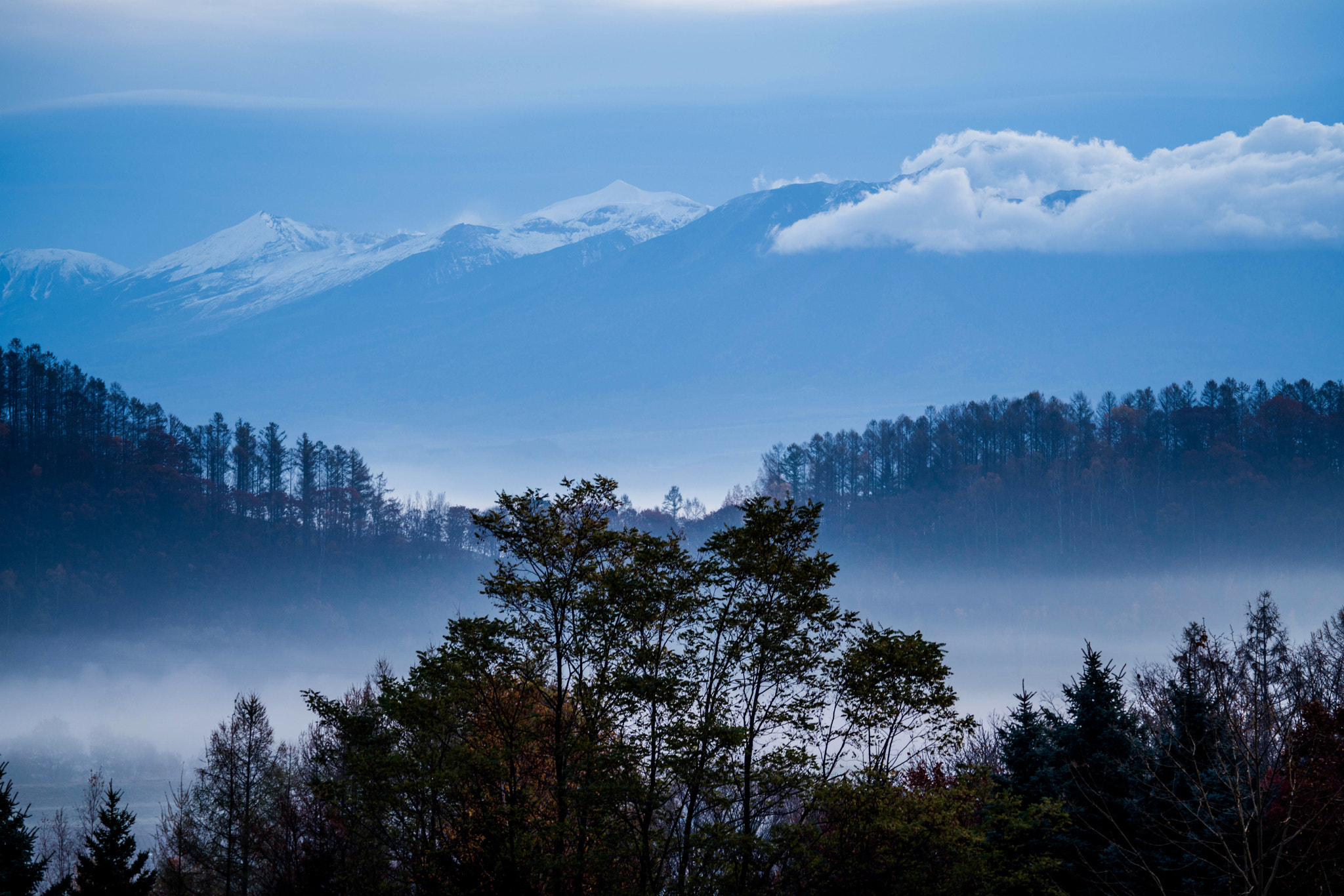 Sony 70-300mm F4.5-5.6 G SSM sample photo. Blue photography