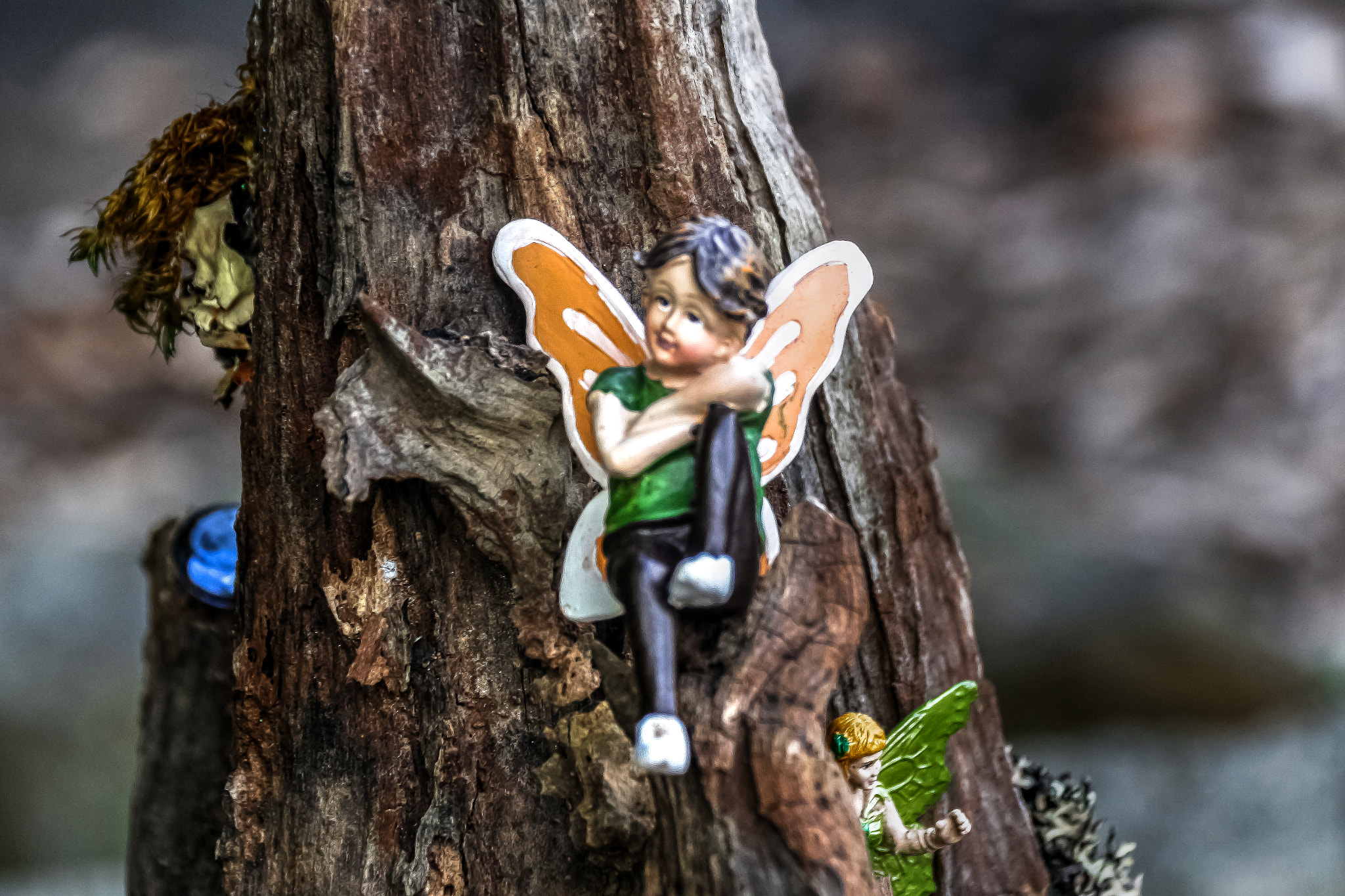 Canon EOS 100D (EOS Rebel SL1 / EOS Kiss X7) sample photo. Revisiting the fairy garden photography