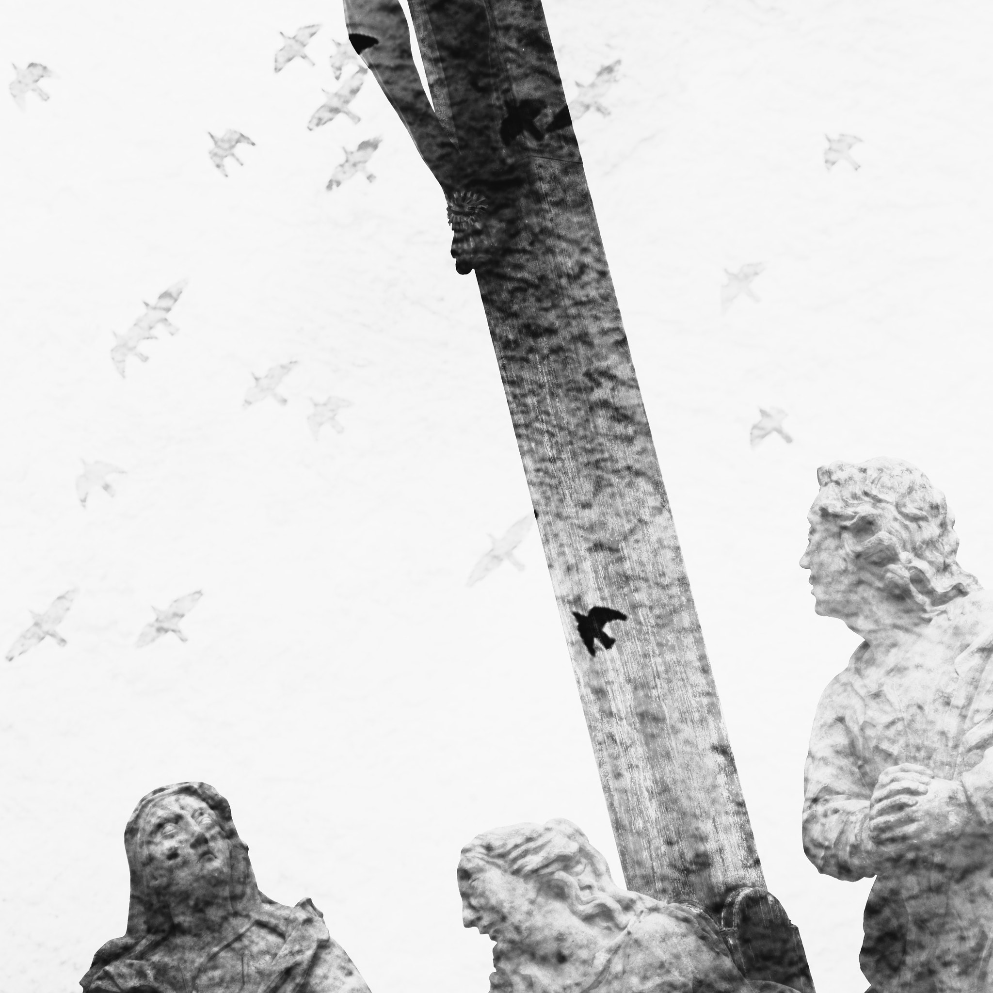 Canon EOS 50D sample photo. About birds photography