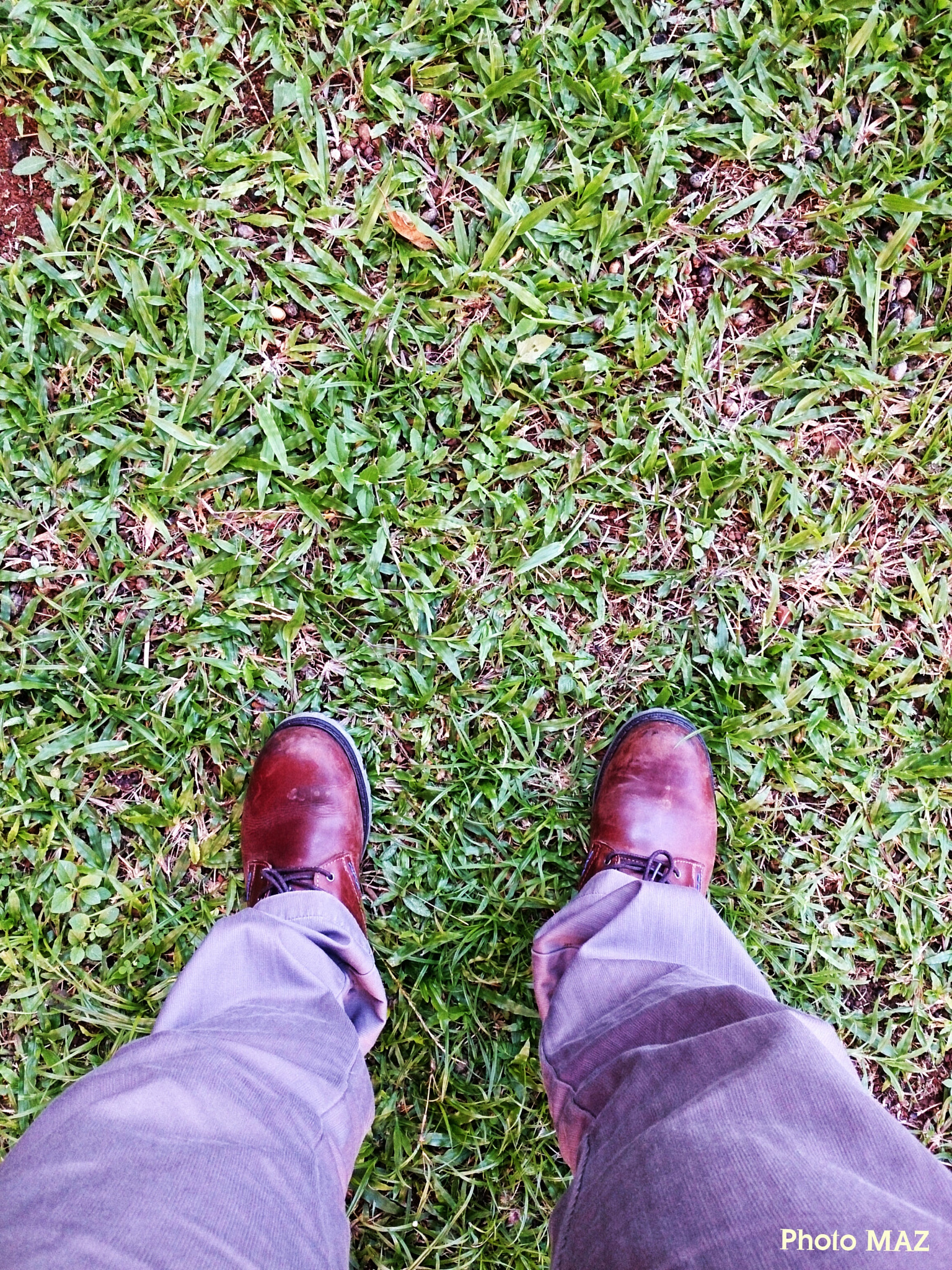 Sony Xperia ZR sample photo. On your own shoes? photography
