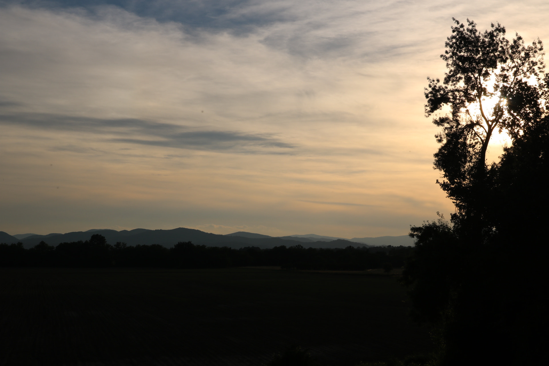Canon EOS 750D (EOS Rebel T6i / EOS Kiss X8i) sample photo