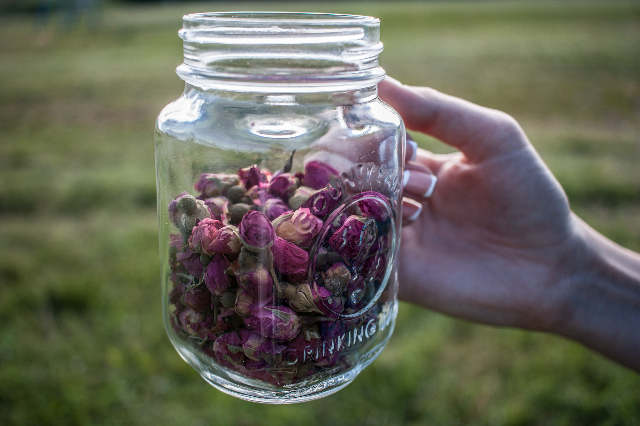 Canon EF-S 24mm F2.8 STM sample photo. Flowers photography