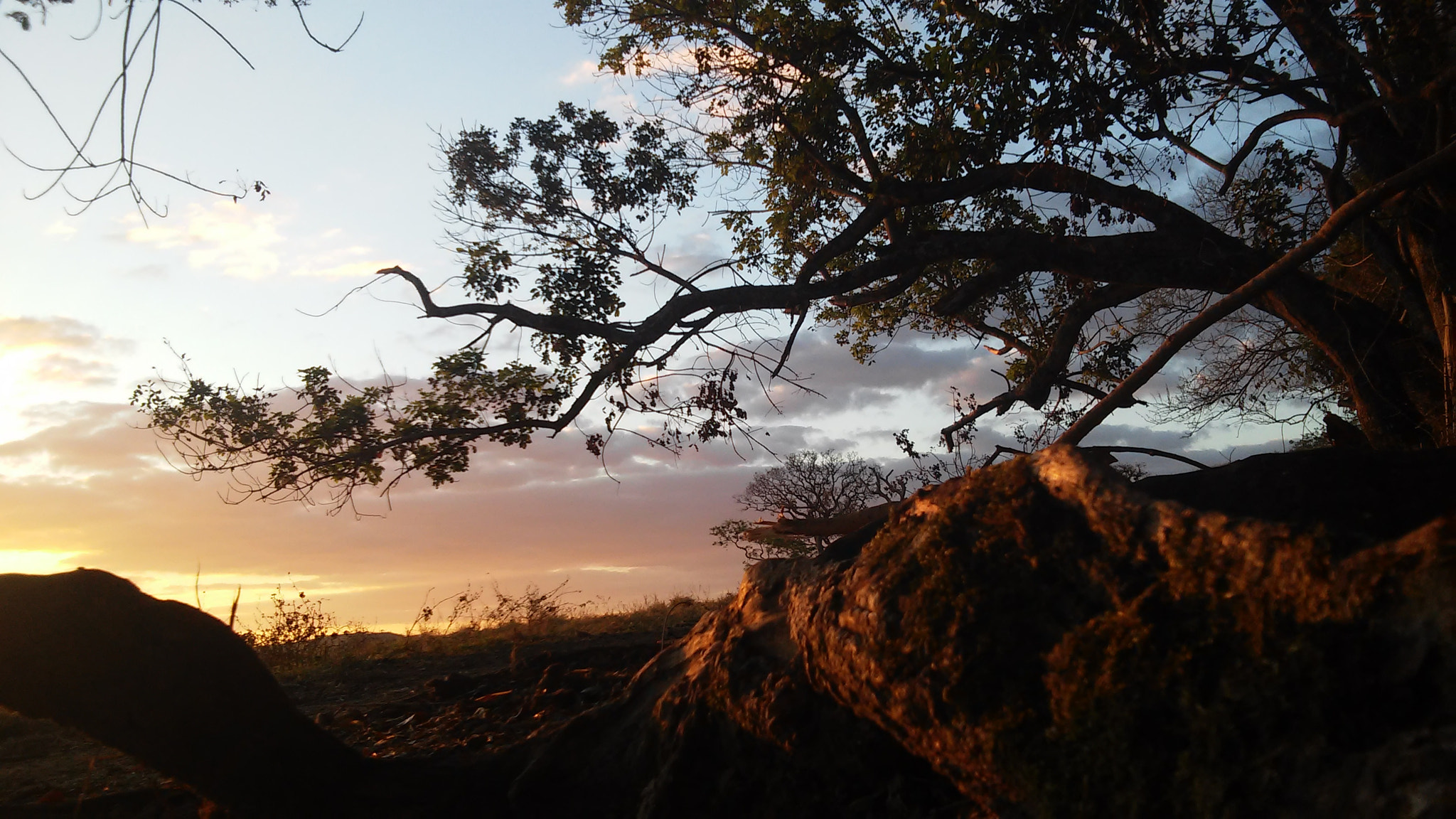 LG D410 sample photo. Por do sol em campo belo photography