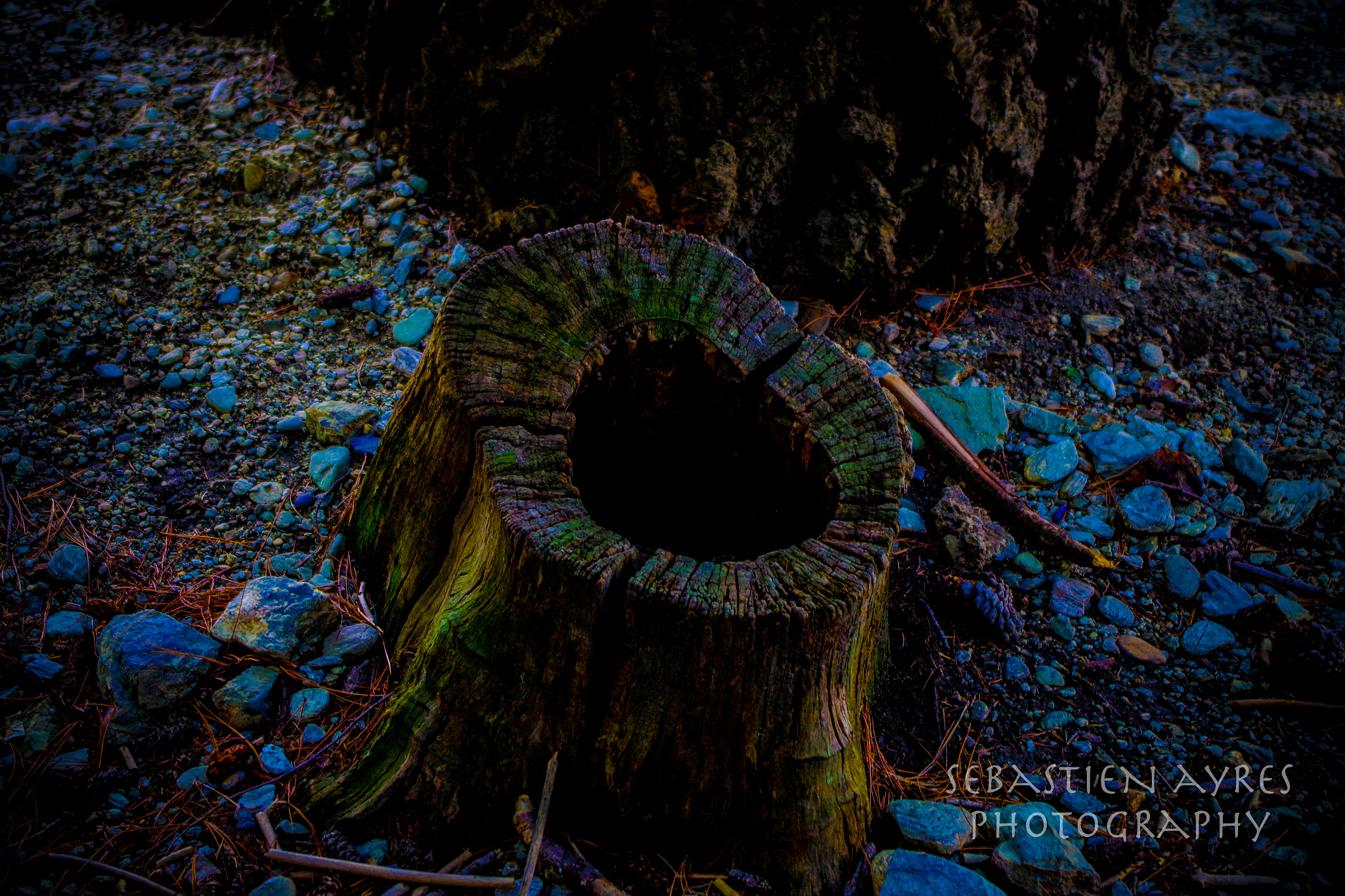Pentax K-S2 sample photo. Stump 2 photography