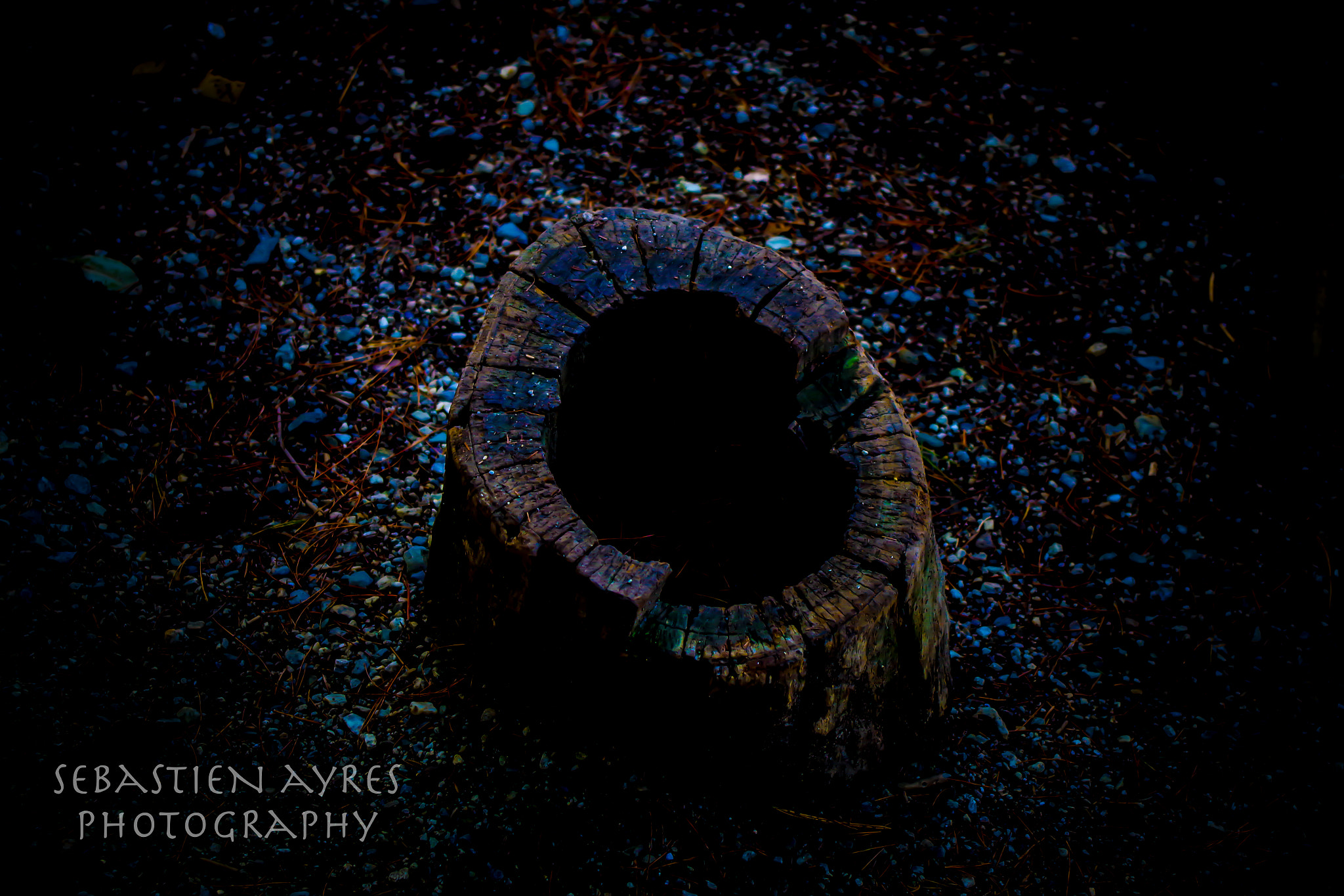 Pentax K-S2 sample photo. Stump 1 photography