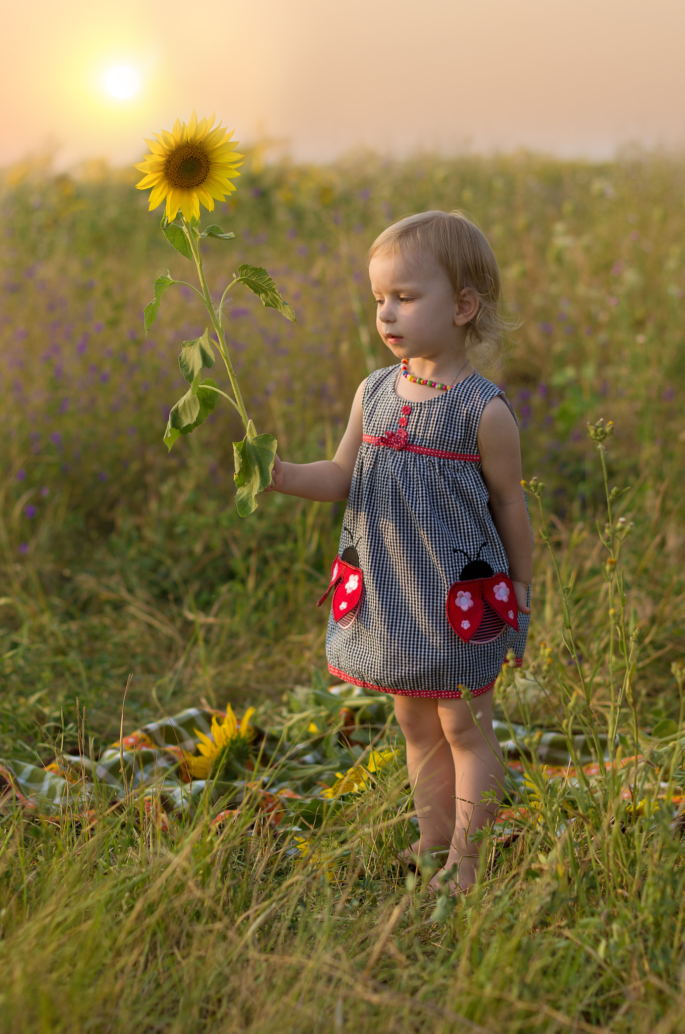 Pentax K-5 + Pentax smc DA* 55mm F1.4 SDM sample photo. Girl and sunflower photography