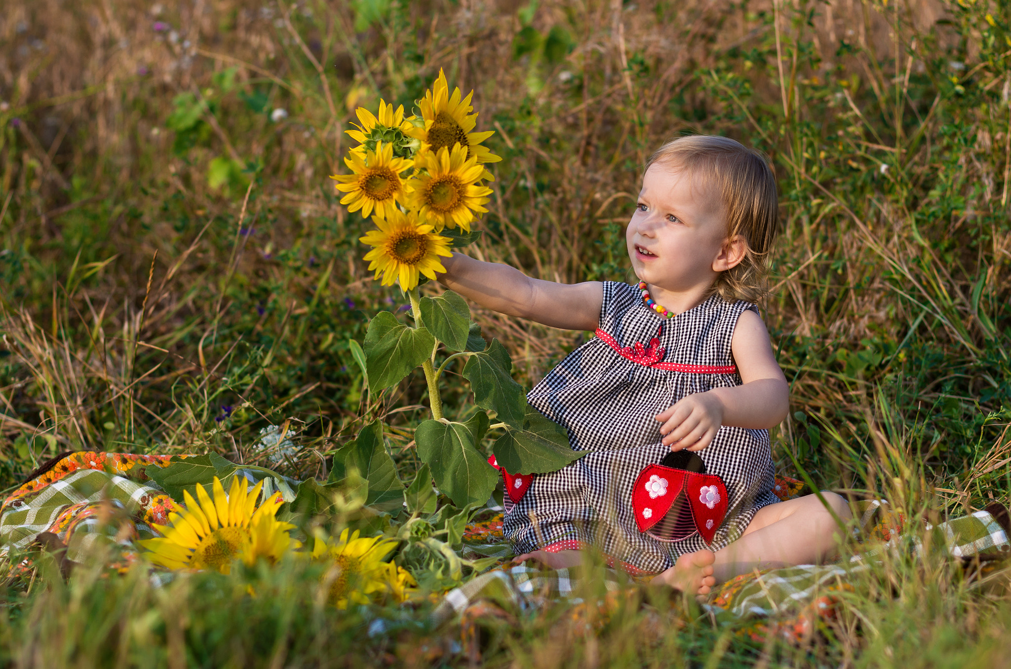 Pentax K-5 + Pentax smc DA* 55mm F1.4 SDM sample photo. Girl and sunflower photography
