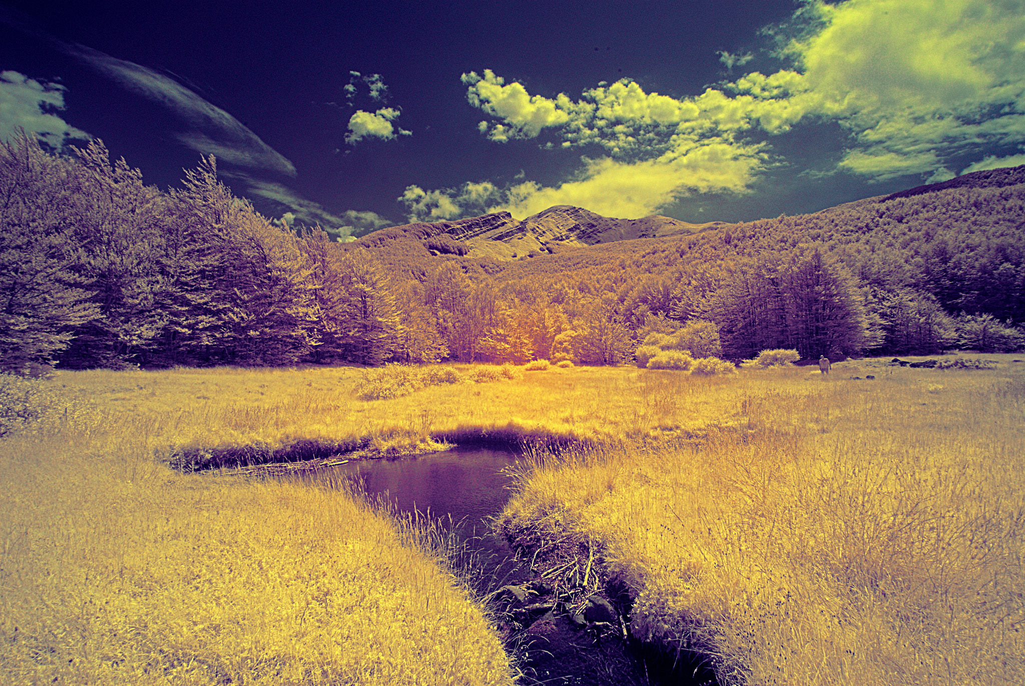 Nikon D80 sample photo. Another mountain view photography