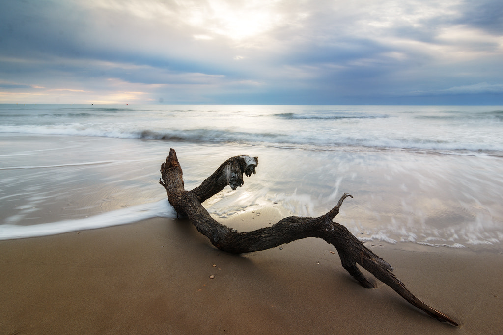 Tokina AT-X Pro 12-24mm F4 (IF) DX sample photo. Naufrago 2 - castaway 2 photography