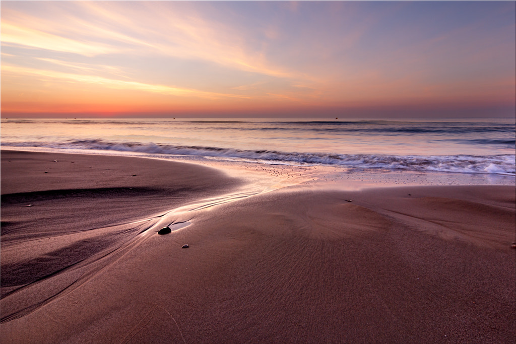 Tokina AT-X Pro 12-24mm F4 (IF) DX sample photo. Les amplaries dorada - golden amplaries photography