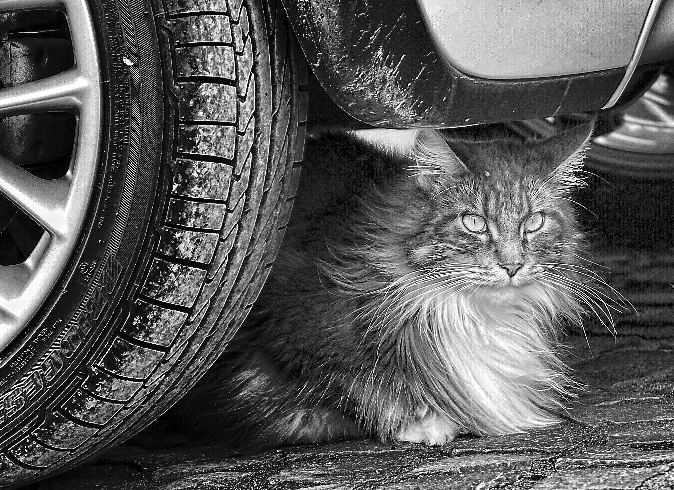 Olympus PEN E-PL7 sample photo